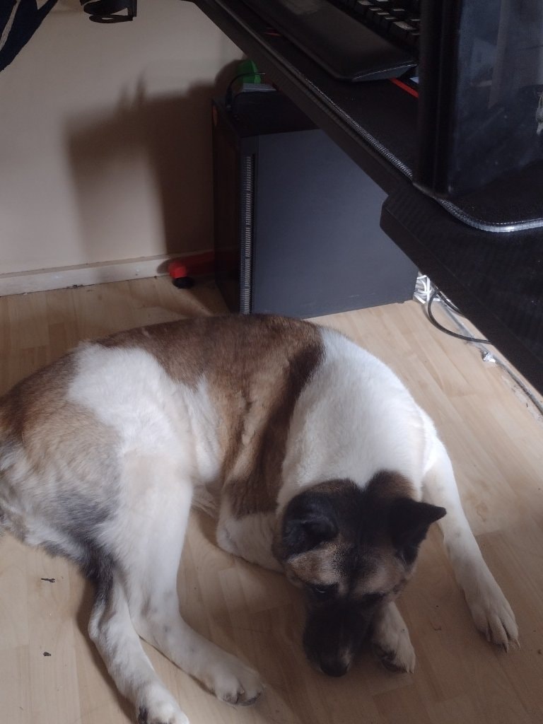 image-11