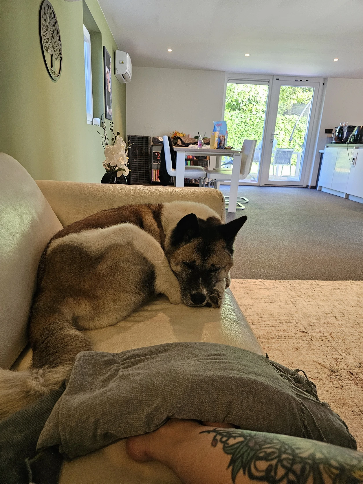 image-28