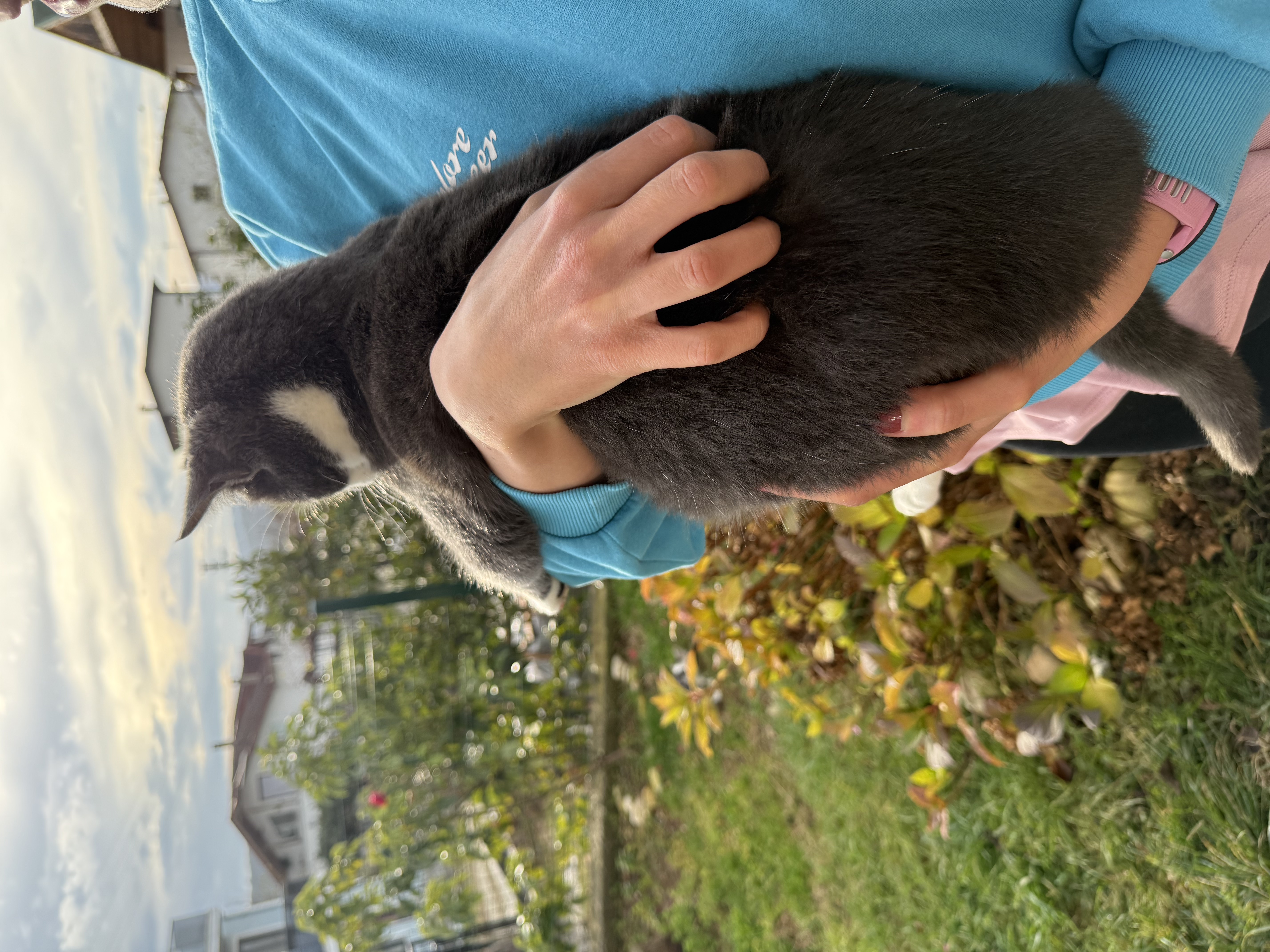 image-7