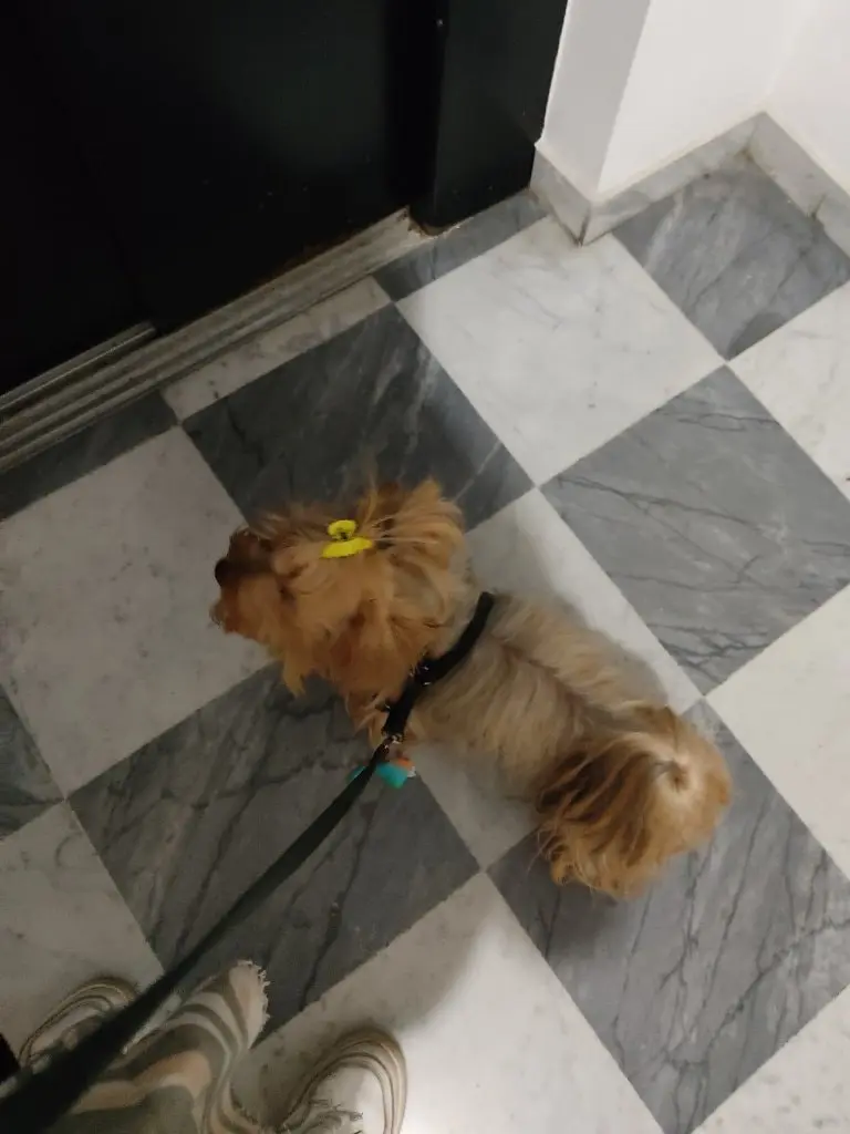 image-4