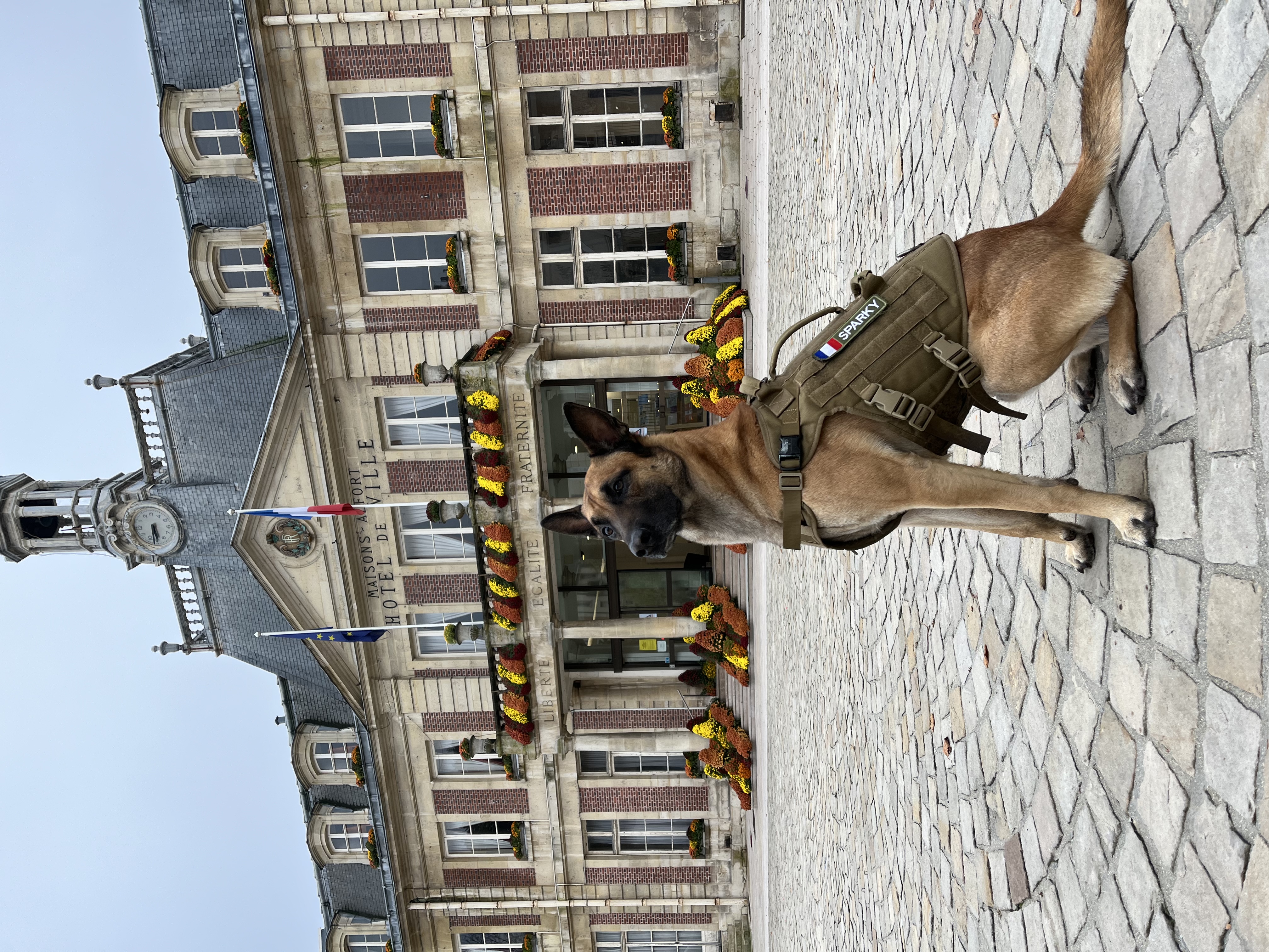 image-6