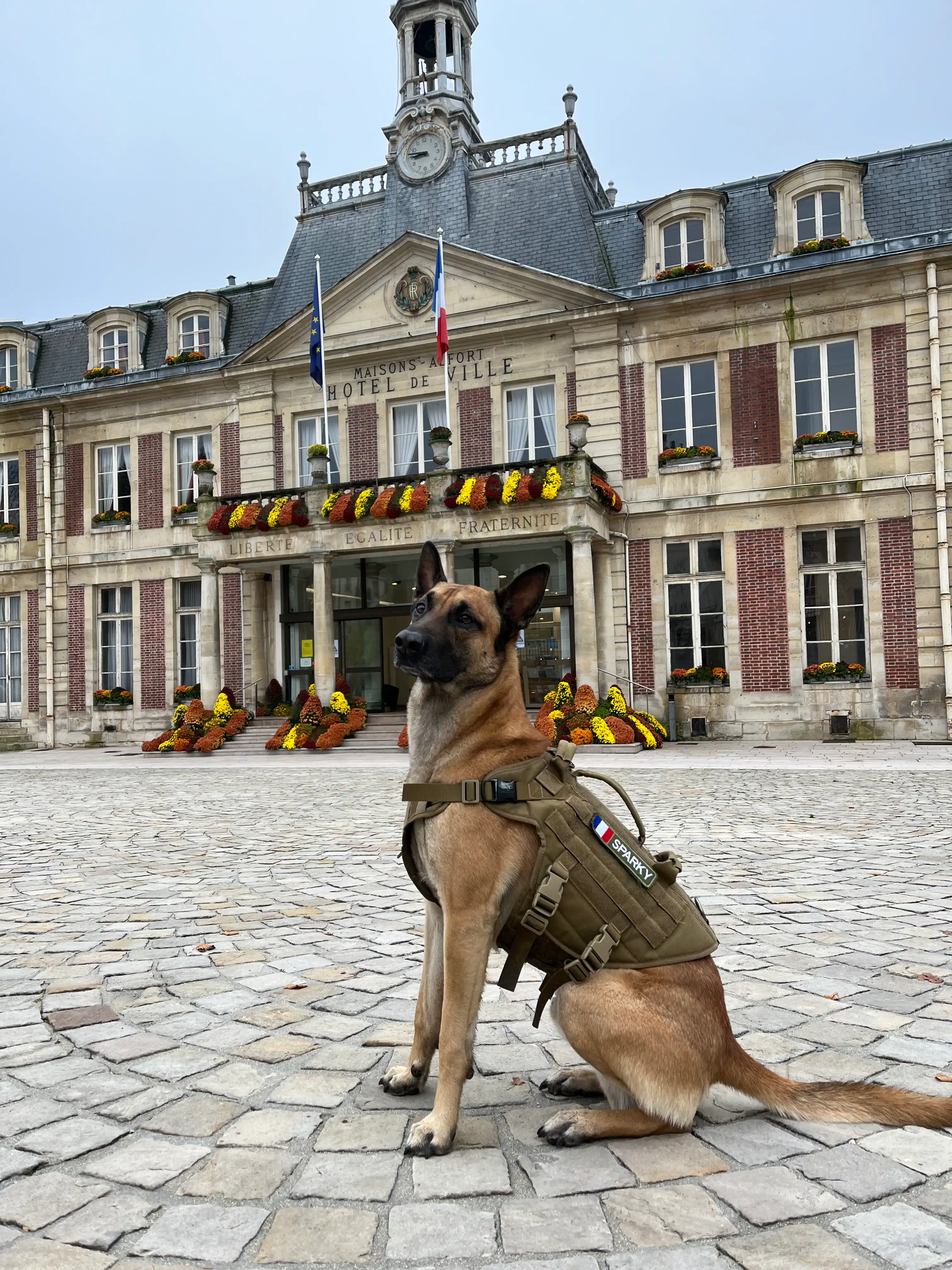 image-6