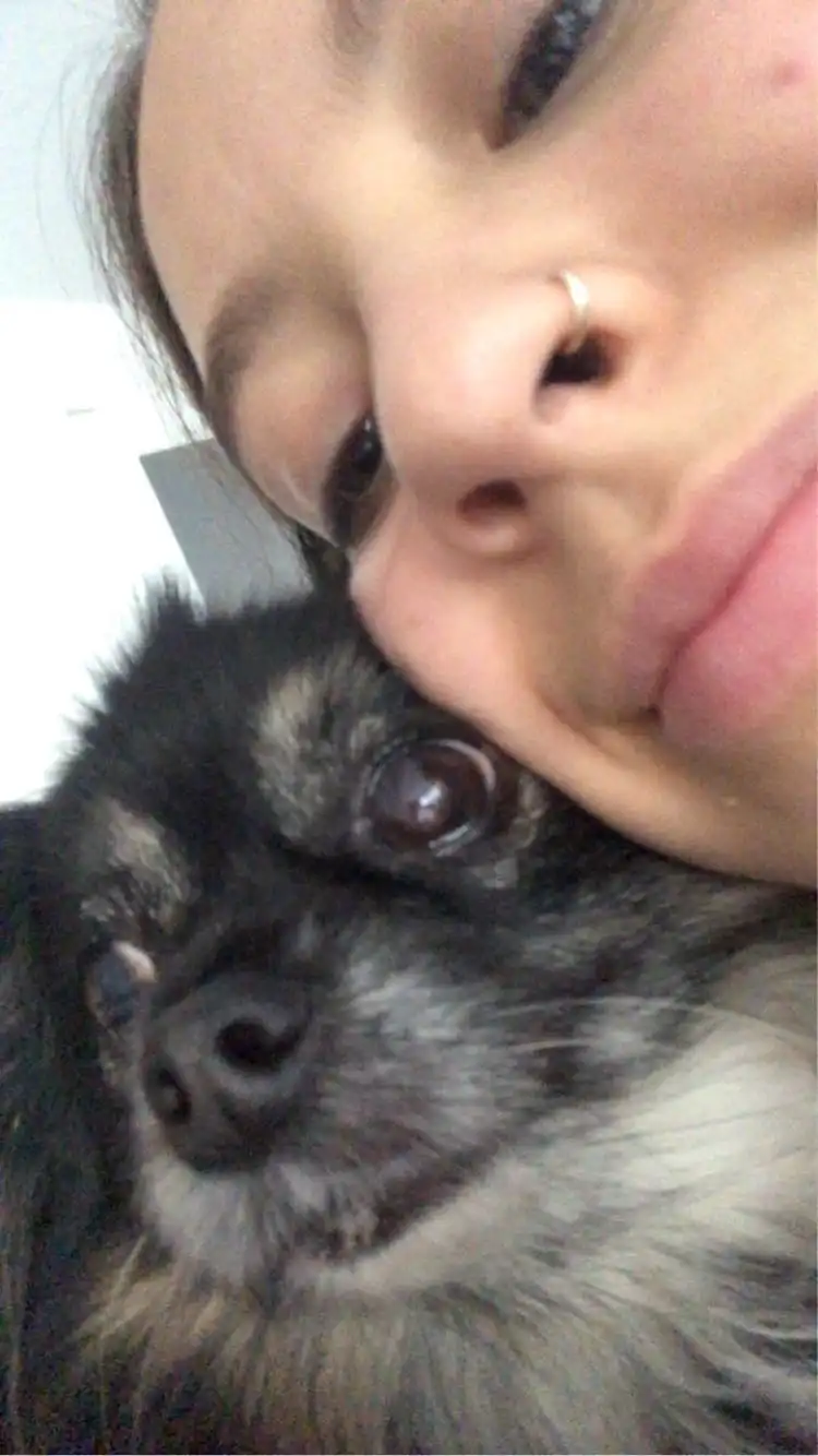 image-7