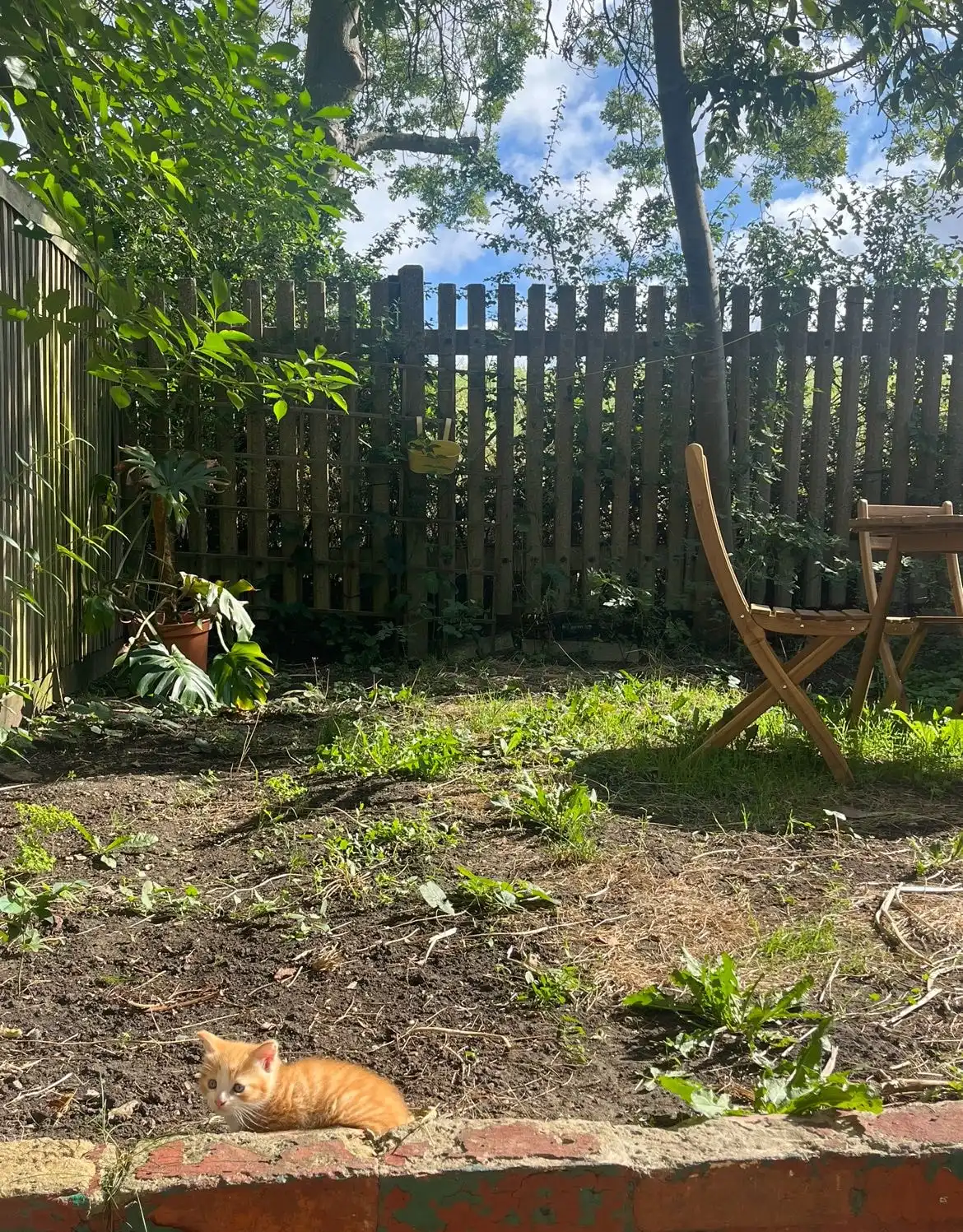 image-6