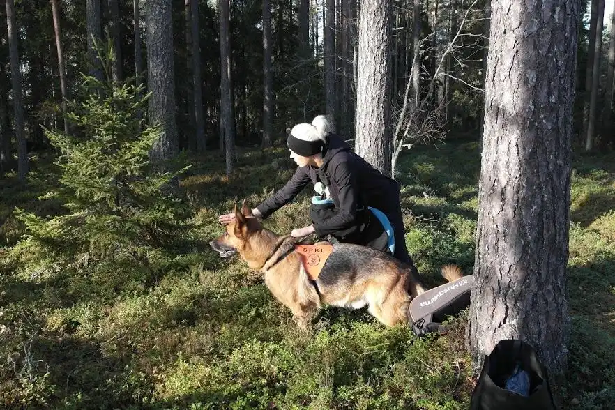 image-9