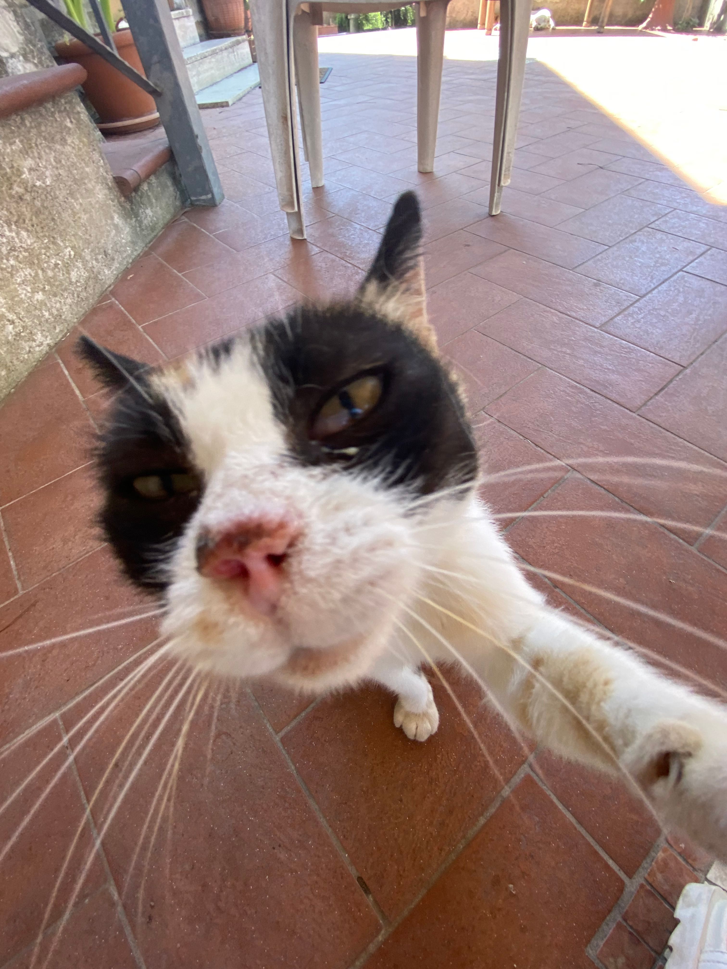 image-6