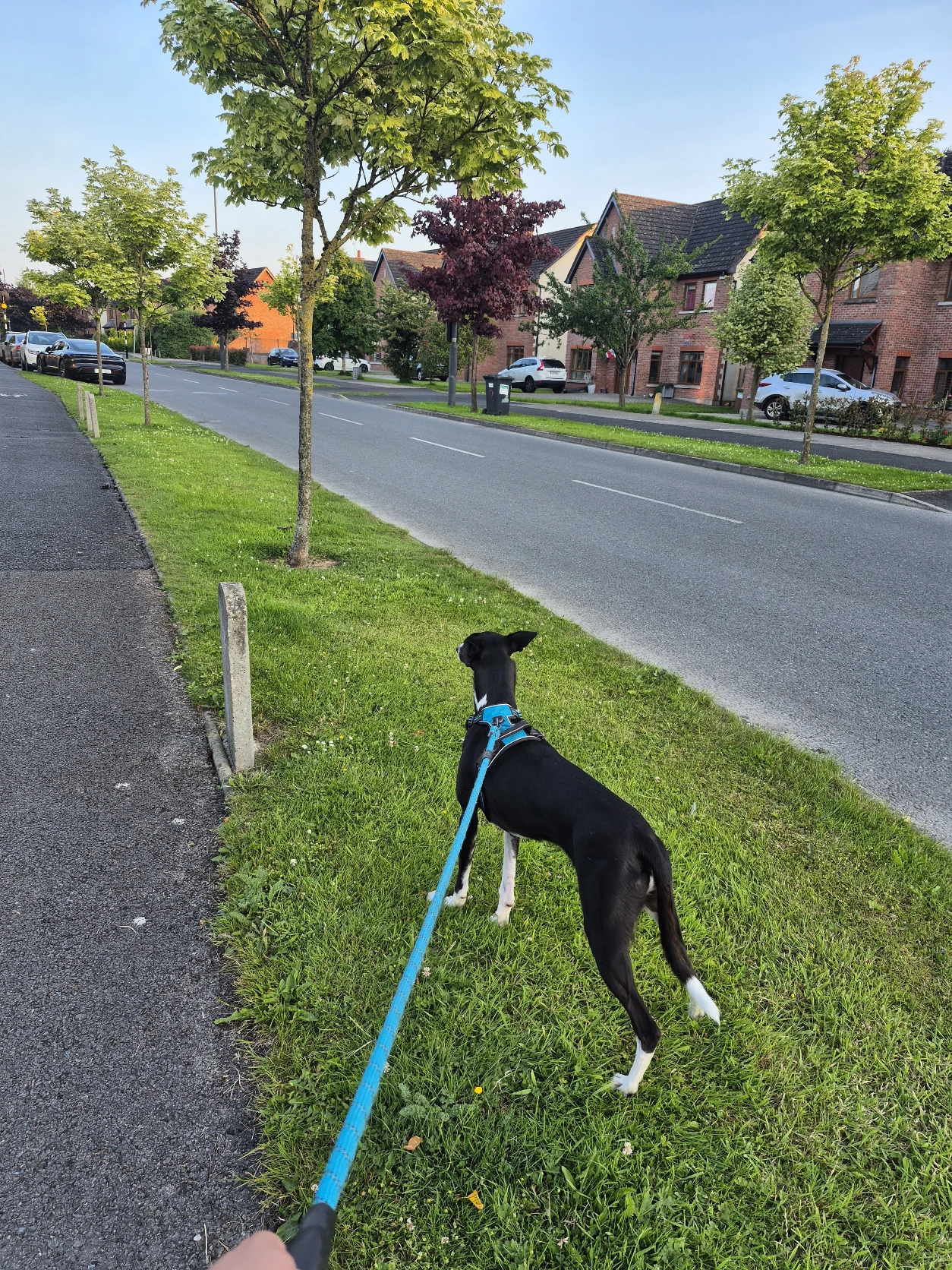 image-13
