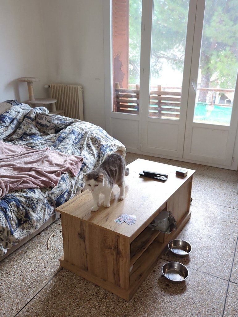 image-17