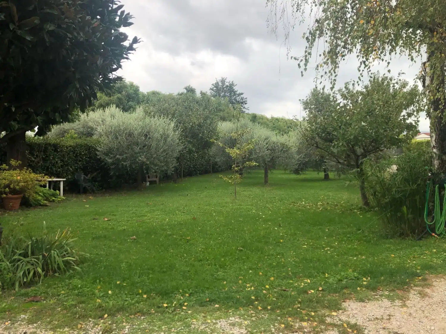image-20