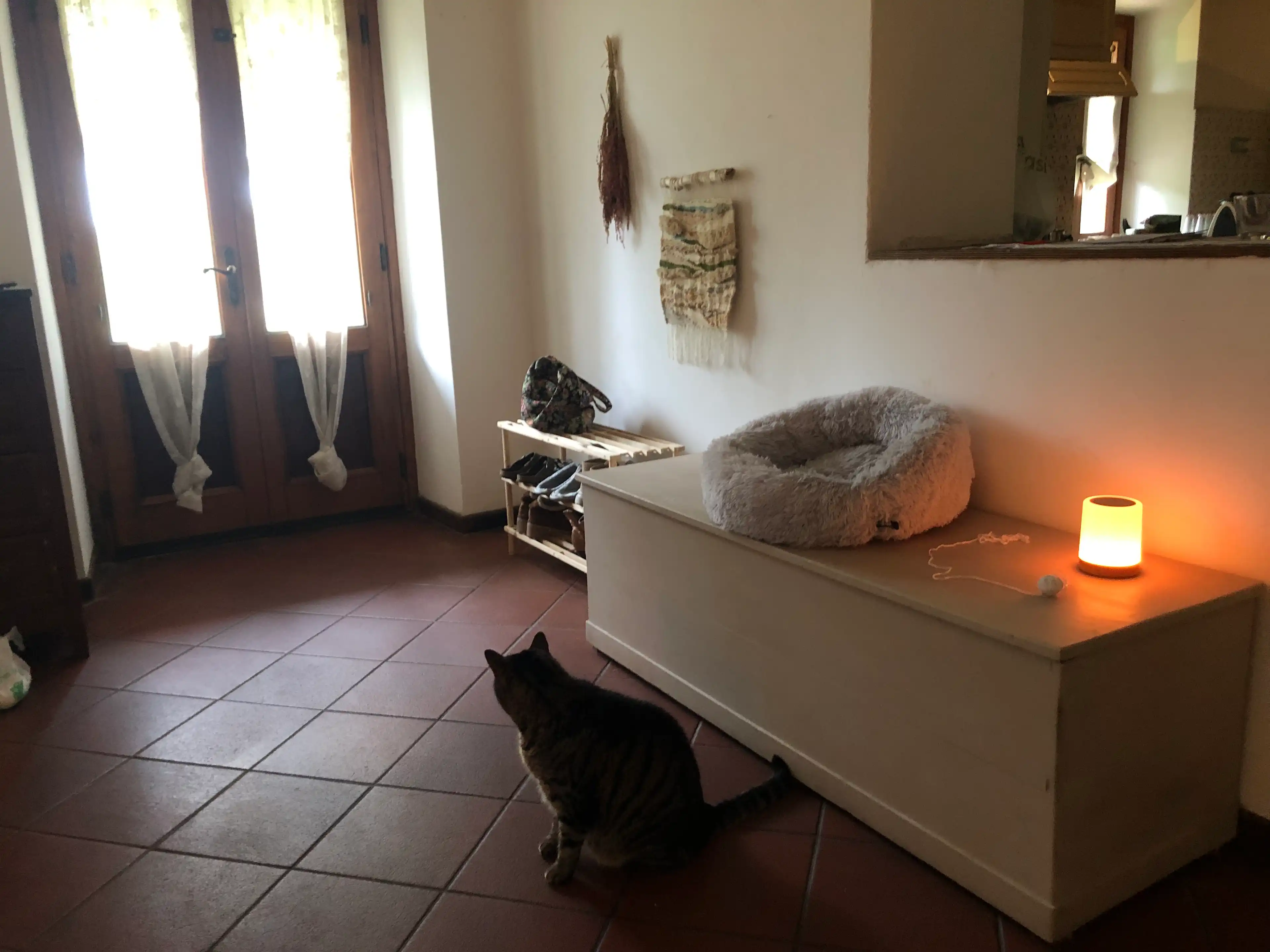image-16
