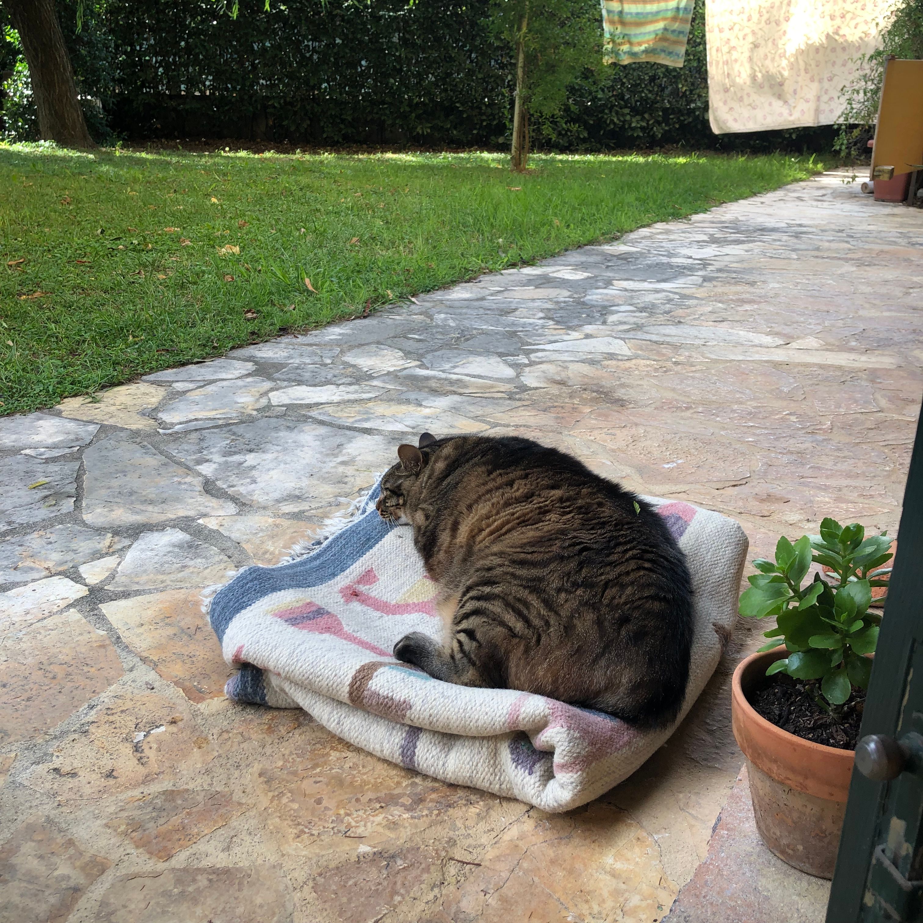 image-8