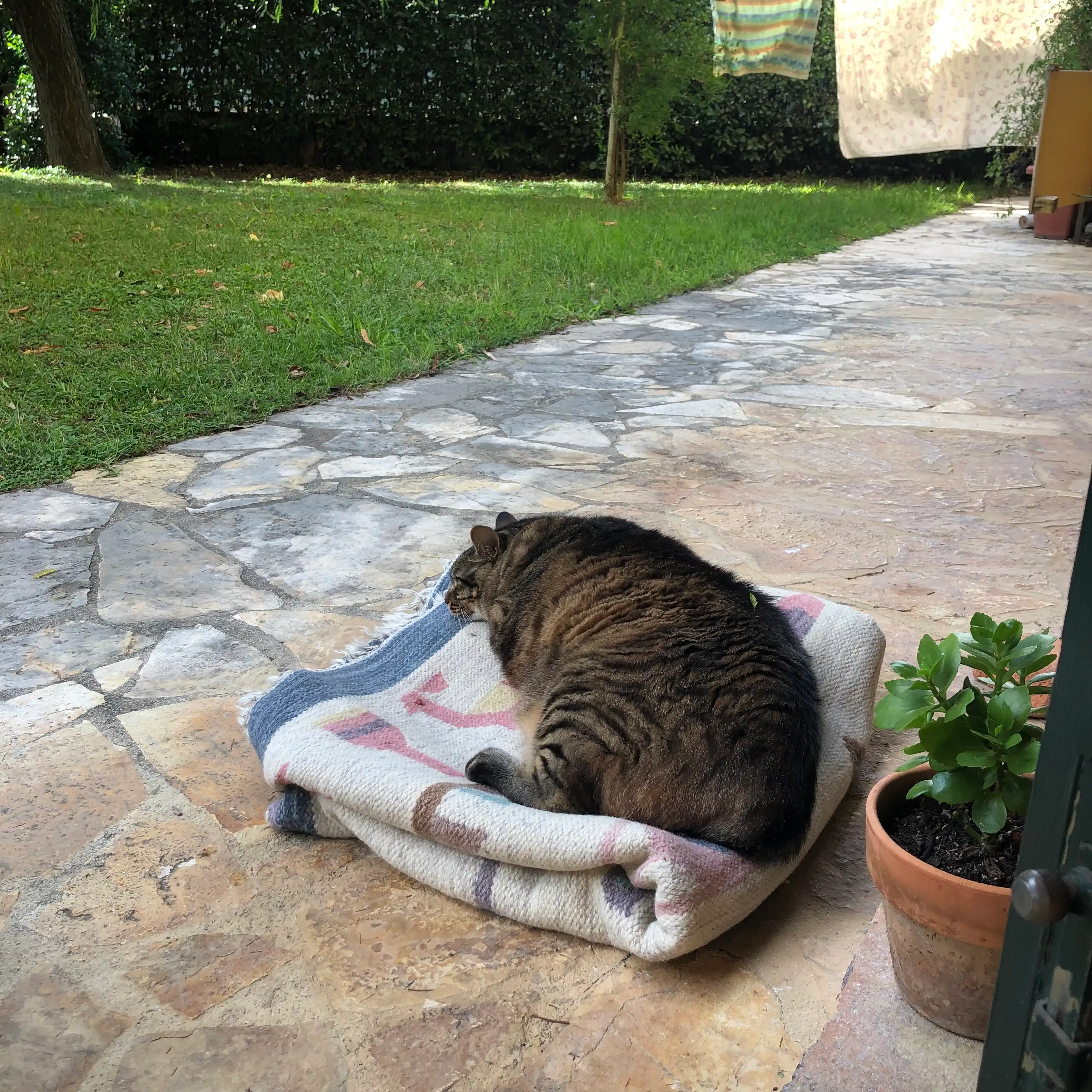 image-8
