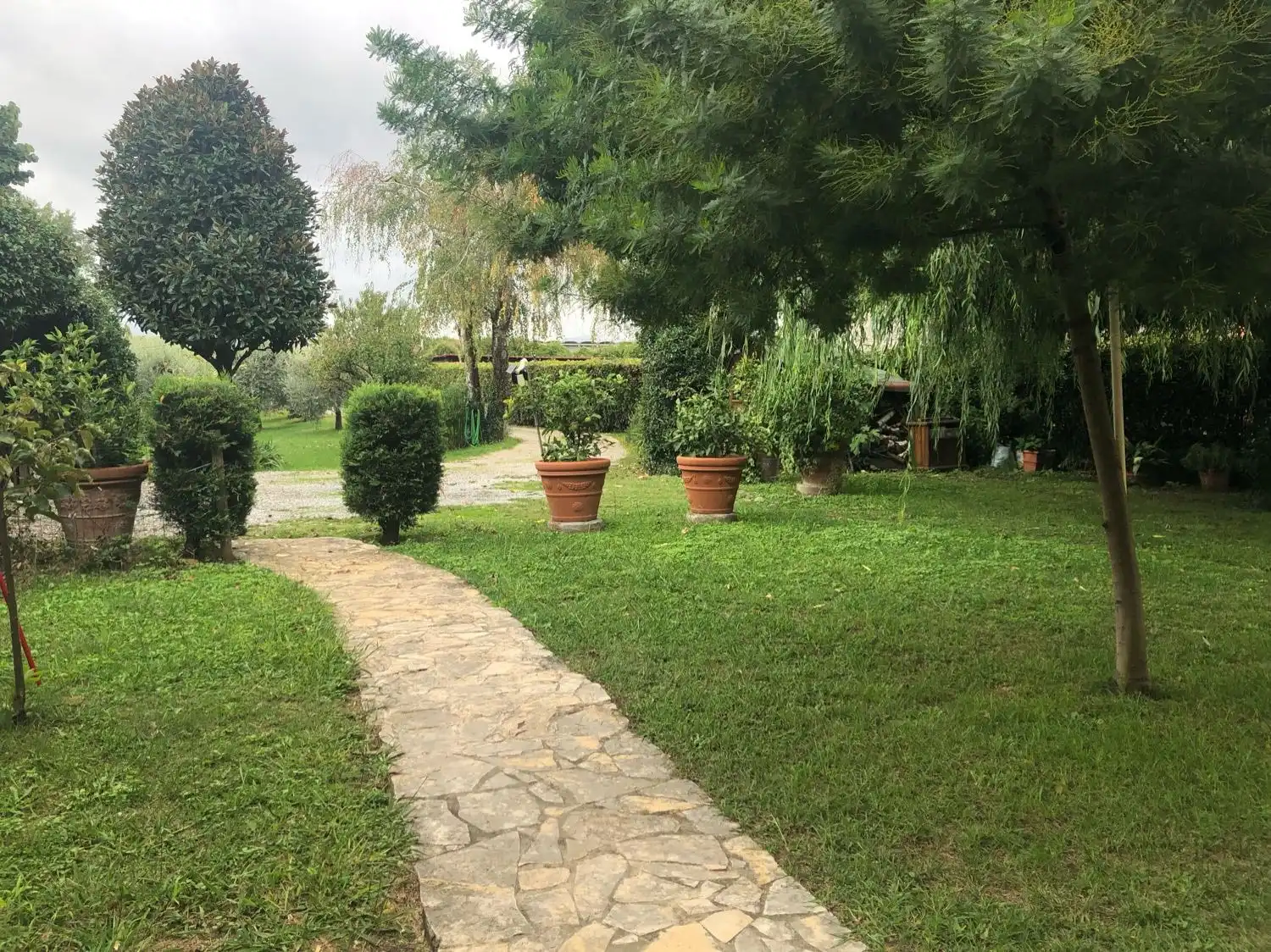image-19
