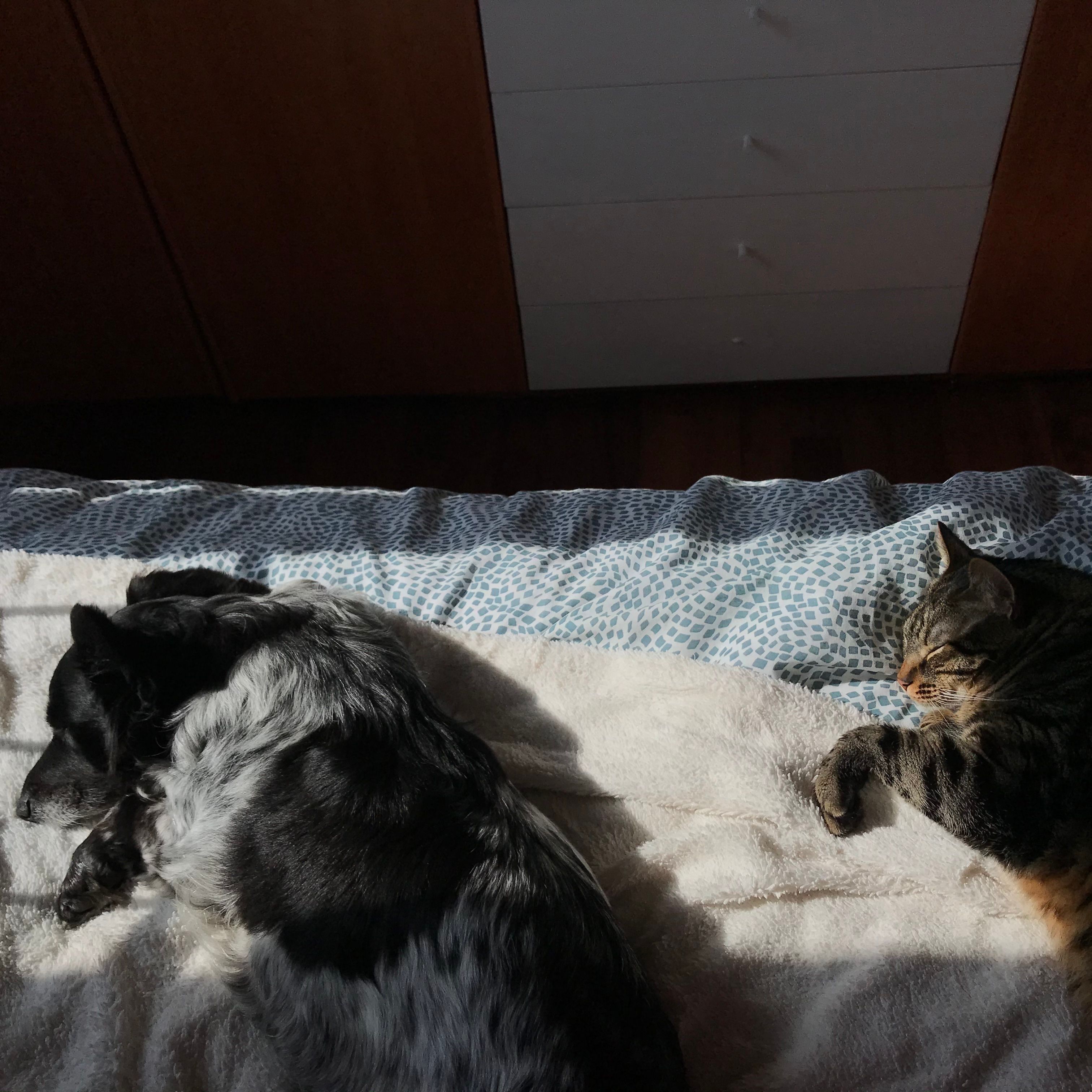image-7