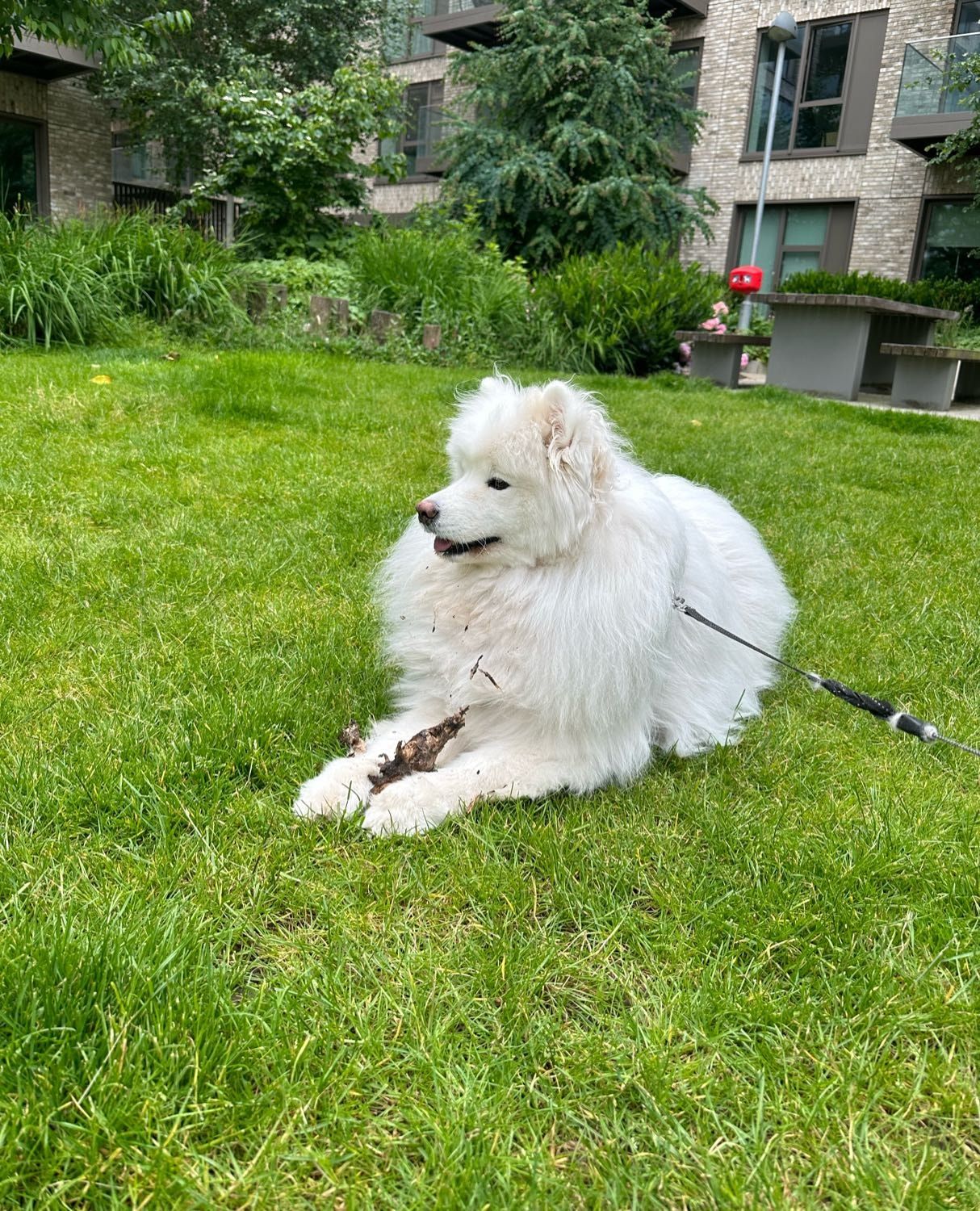 image-11