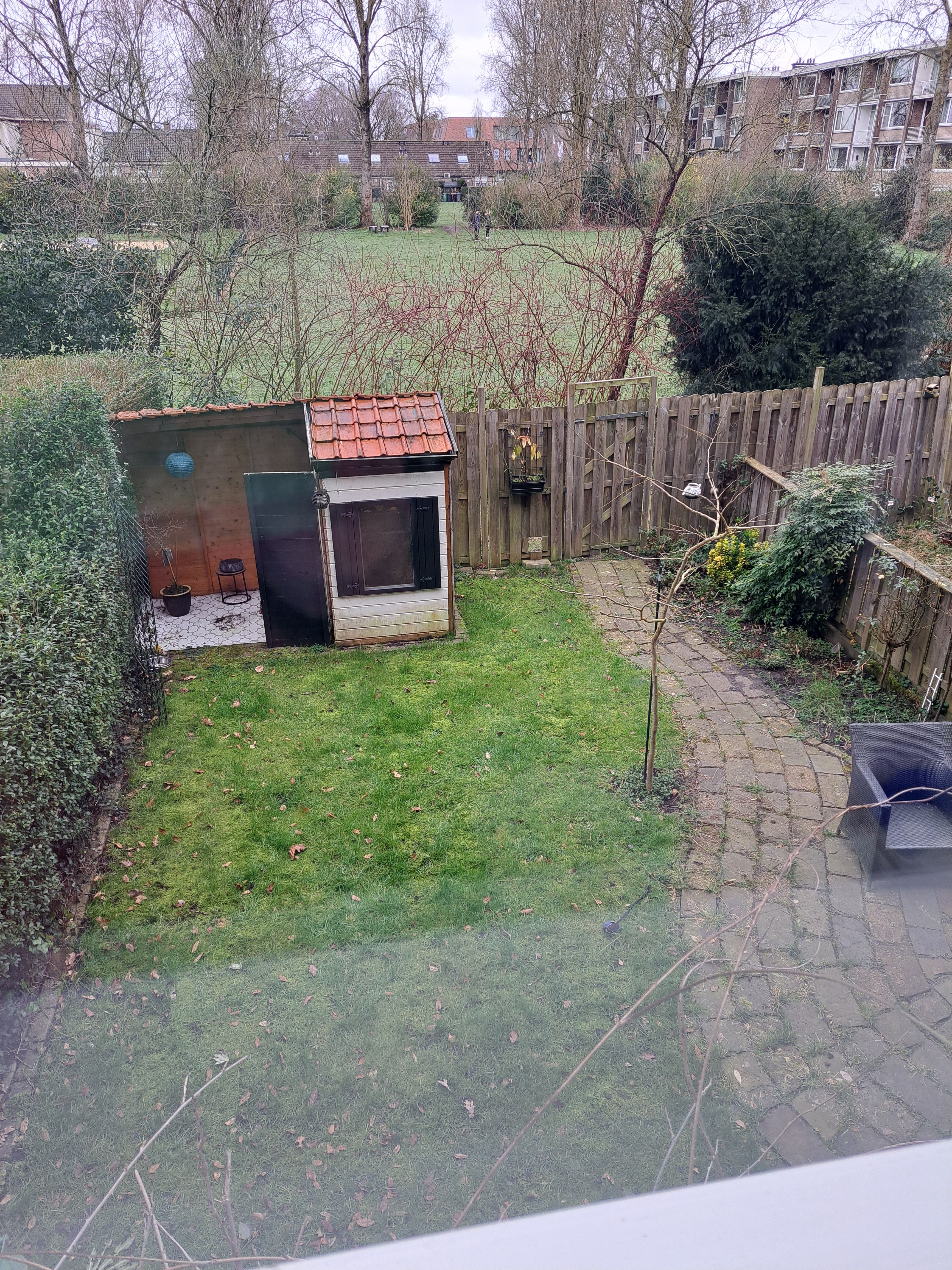 image-12