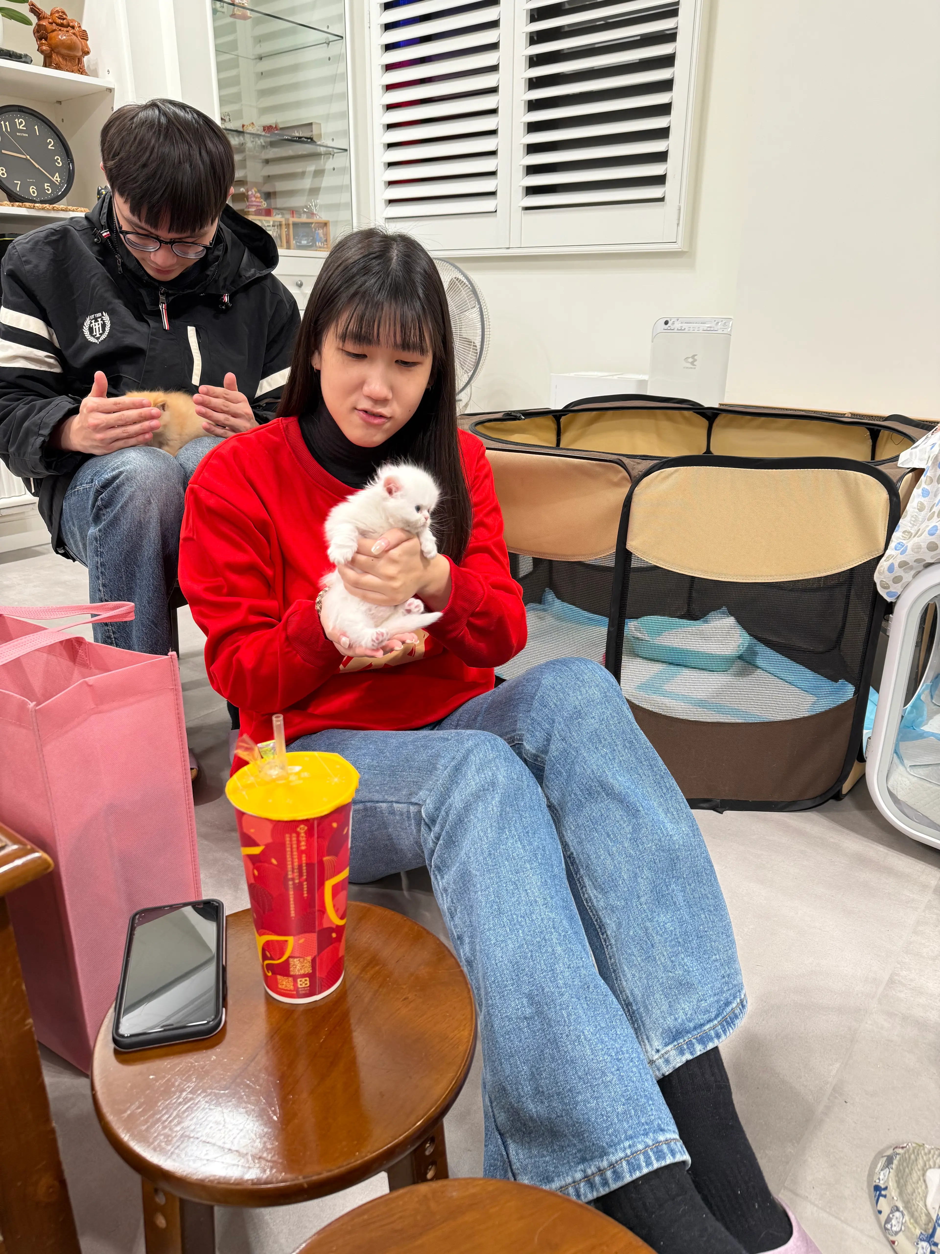 image-2