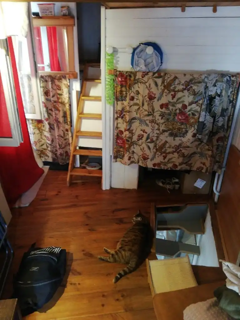 image-5
