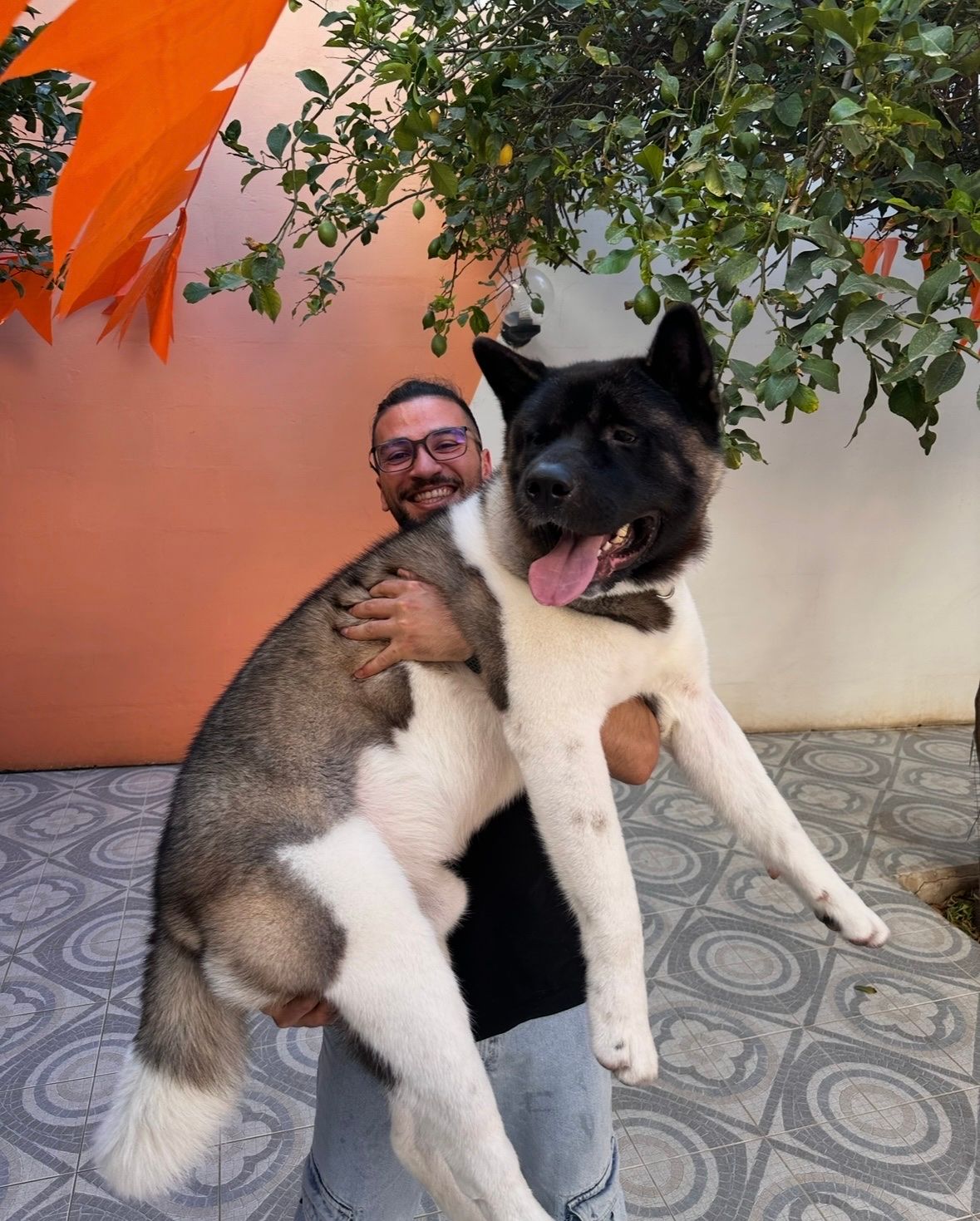 image-6