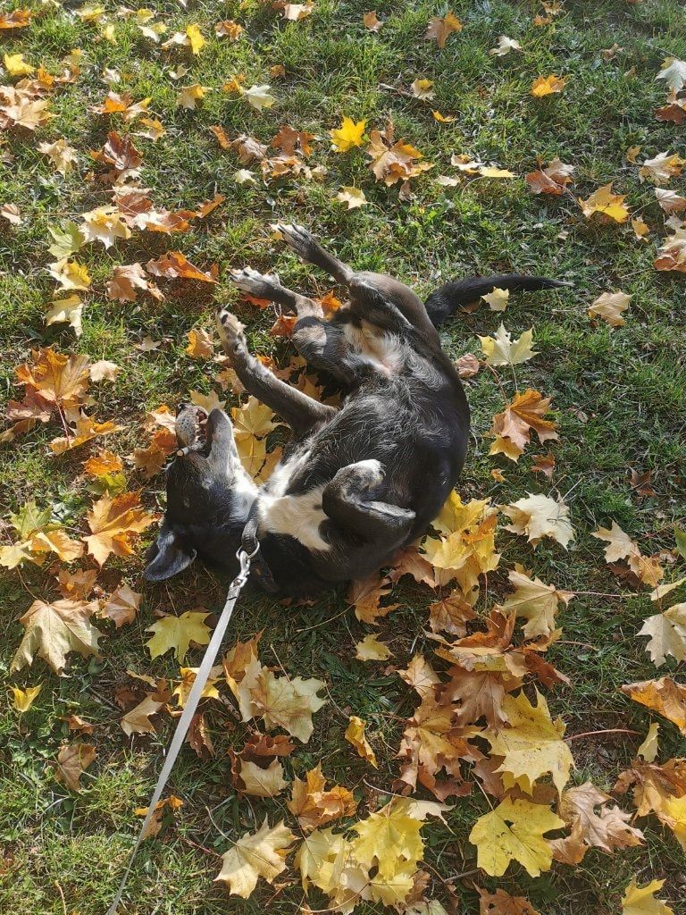image-5