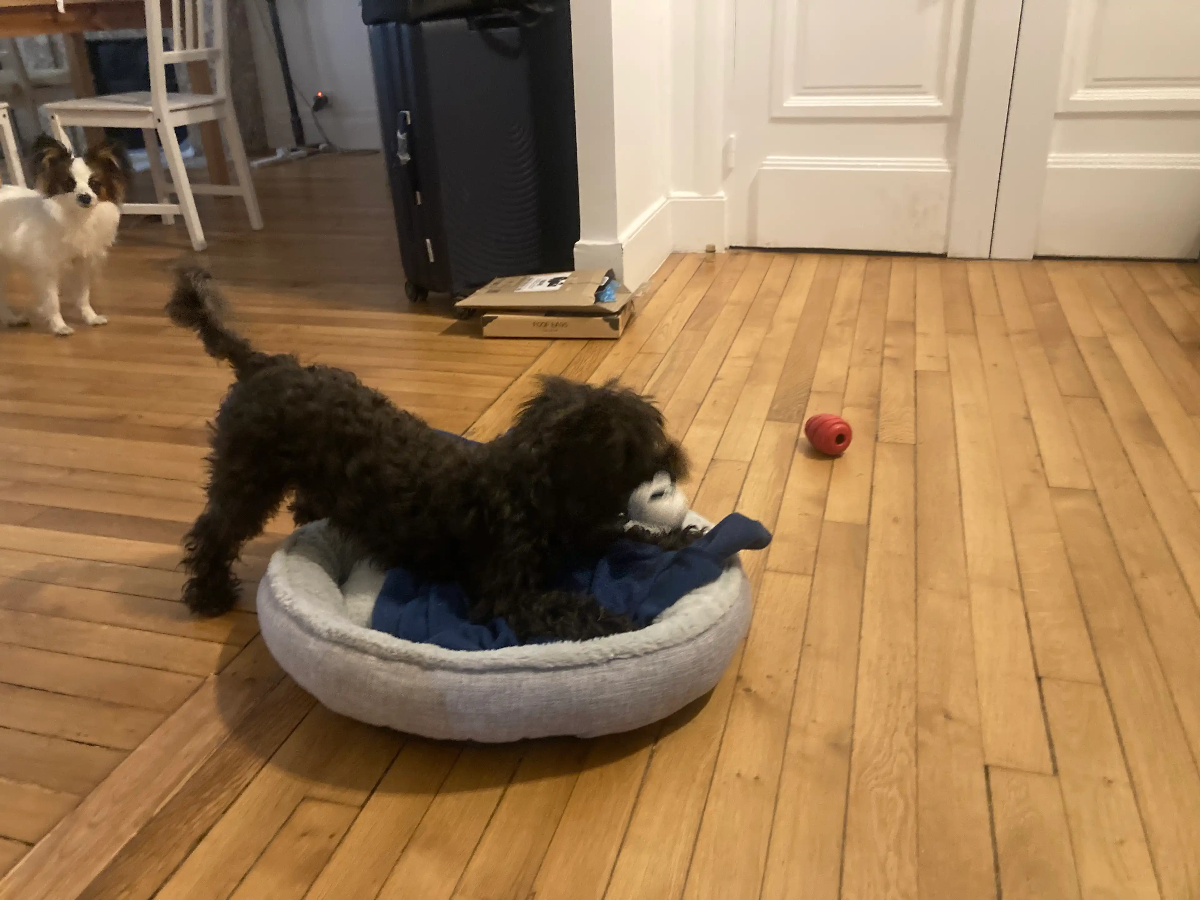 image-15