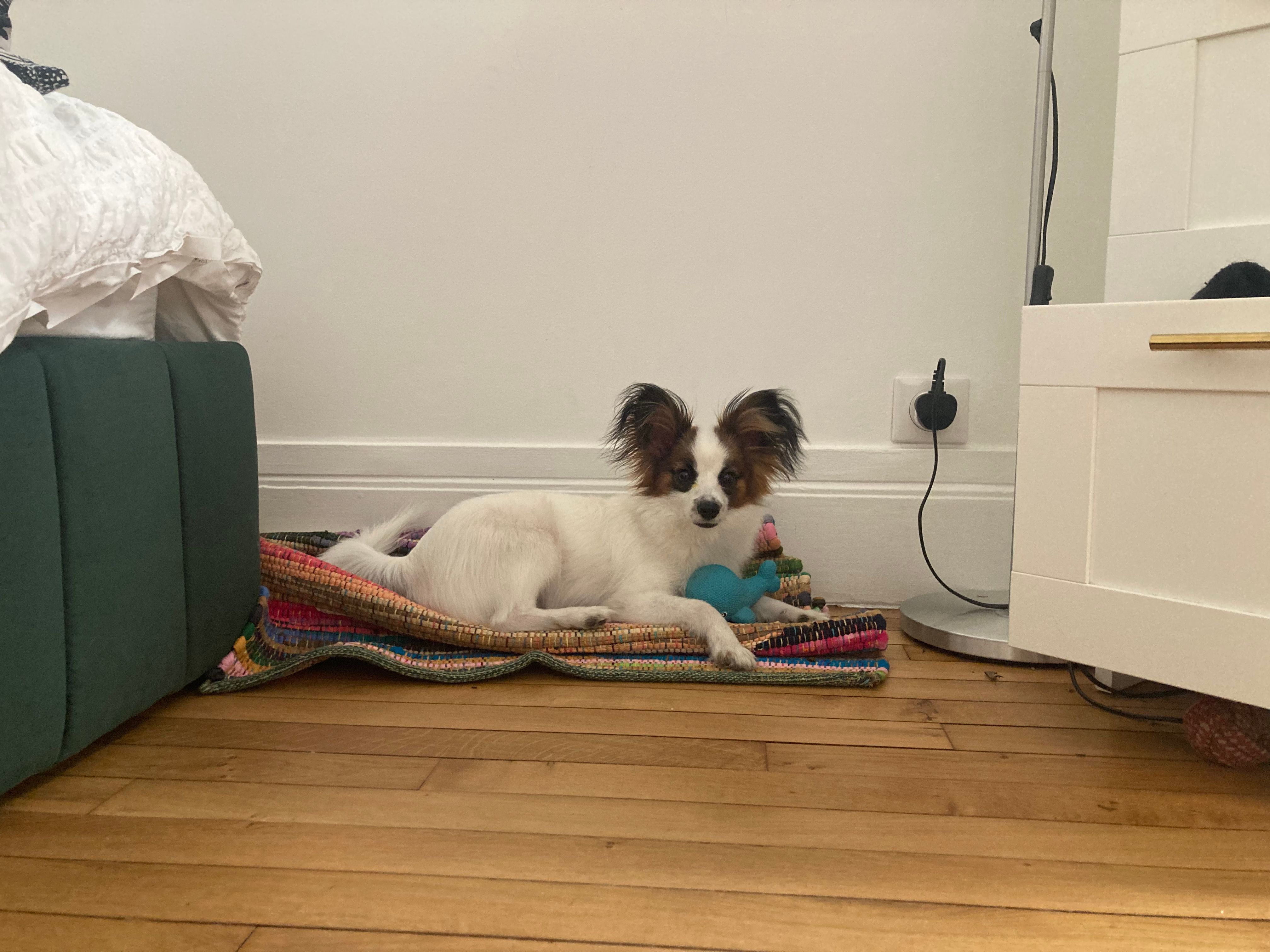 image-17