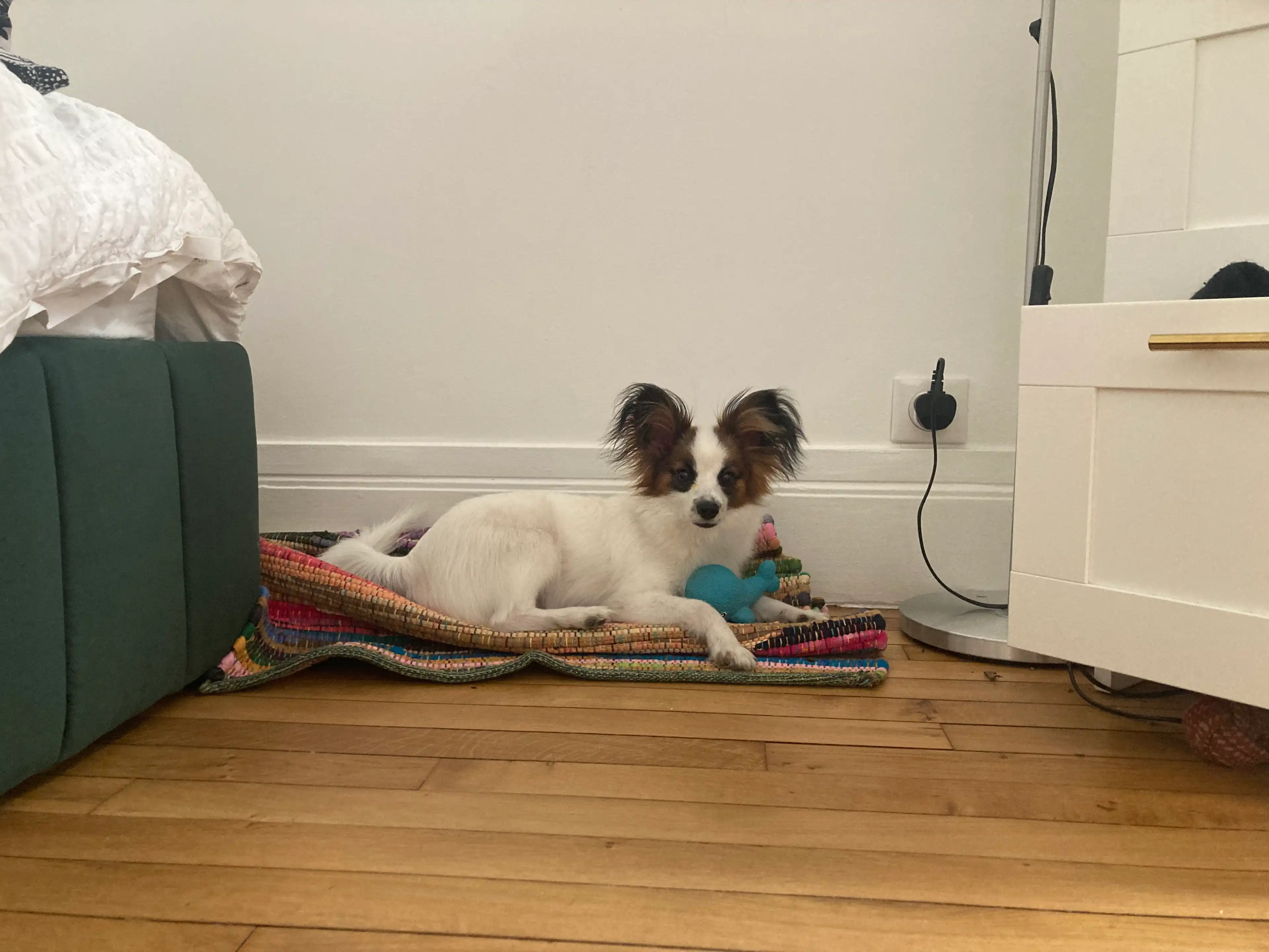 image-17