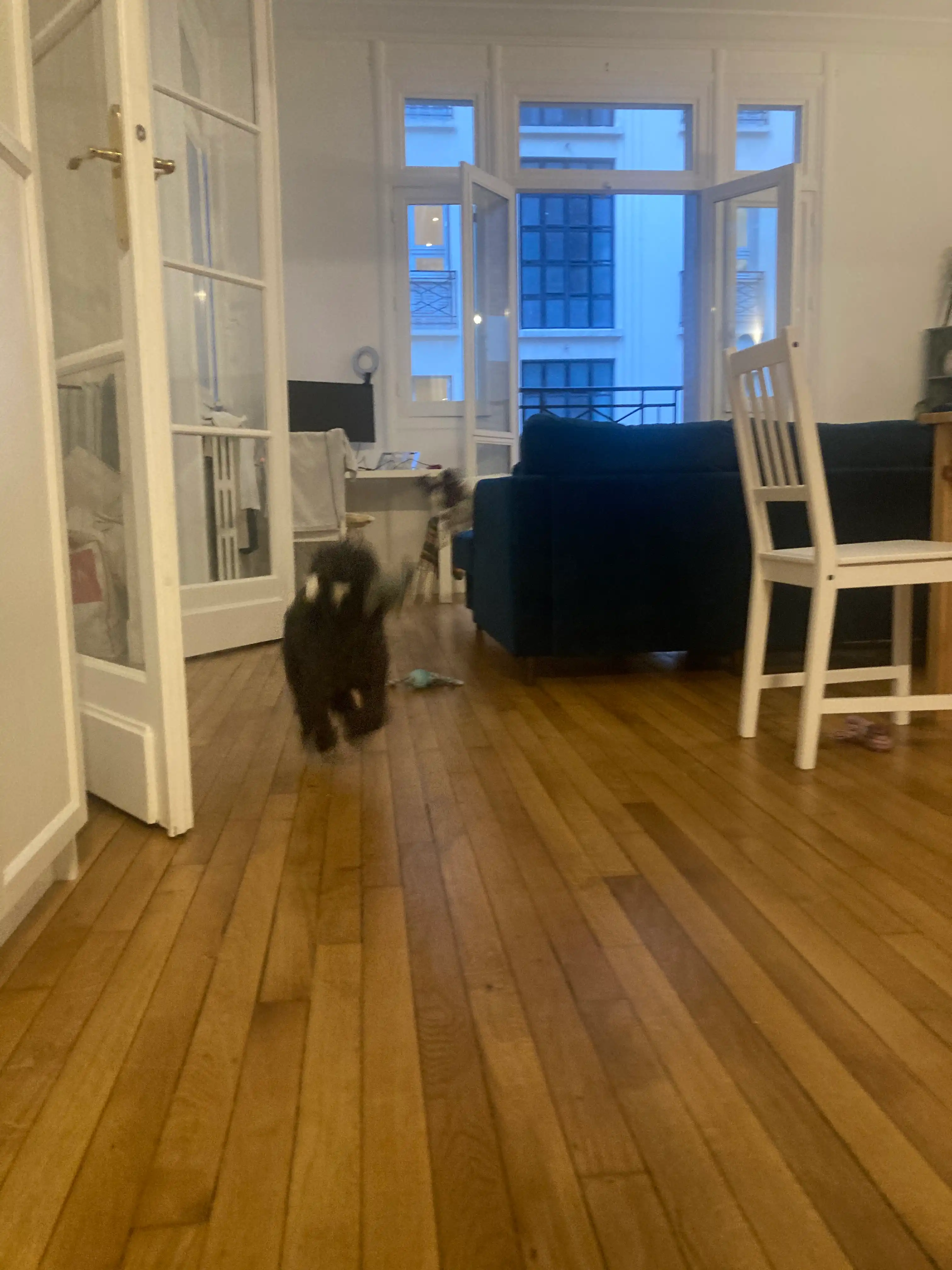 image-11
