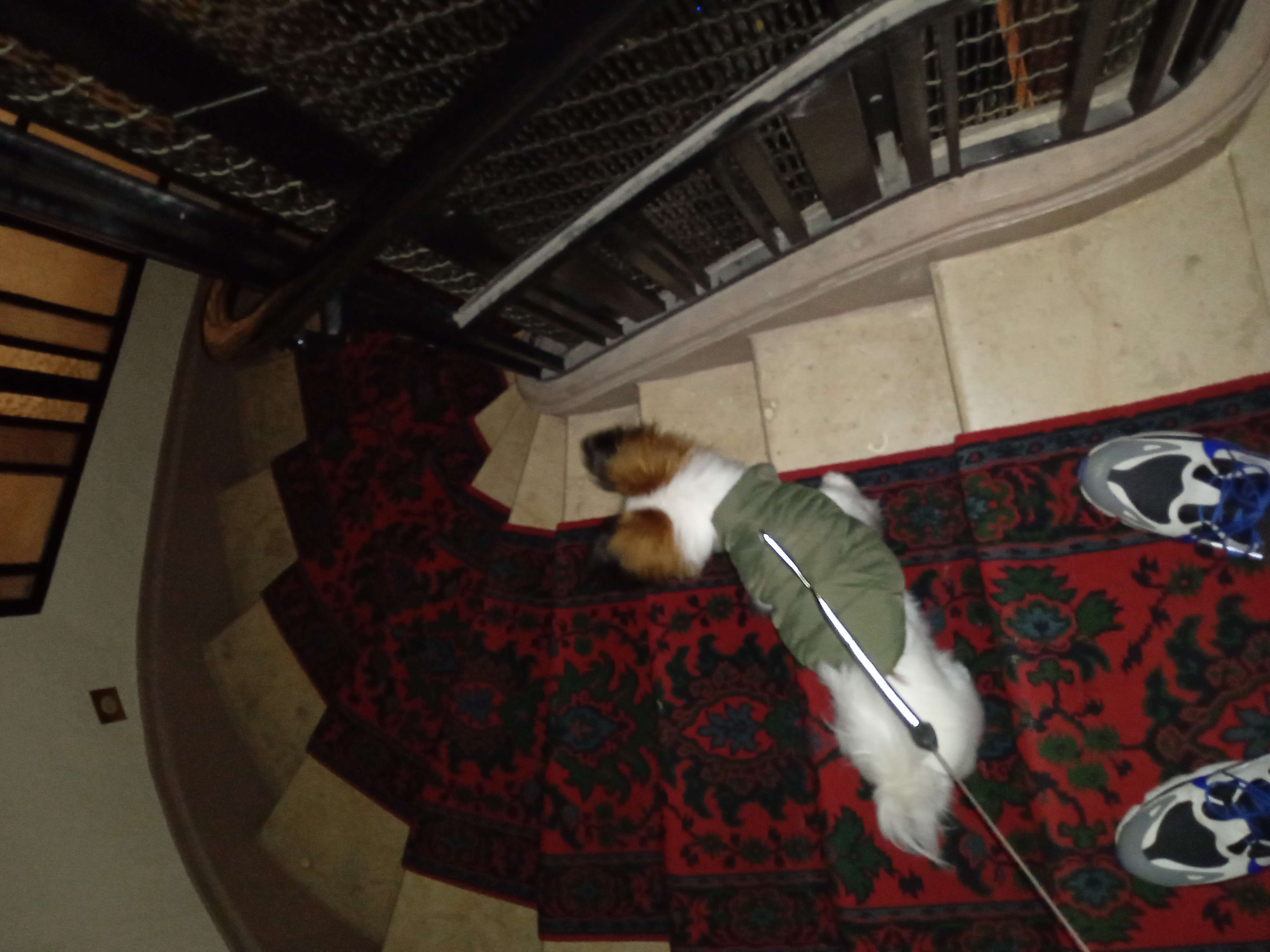 image-7