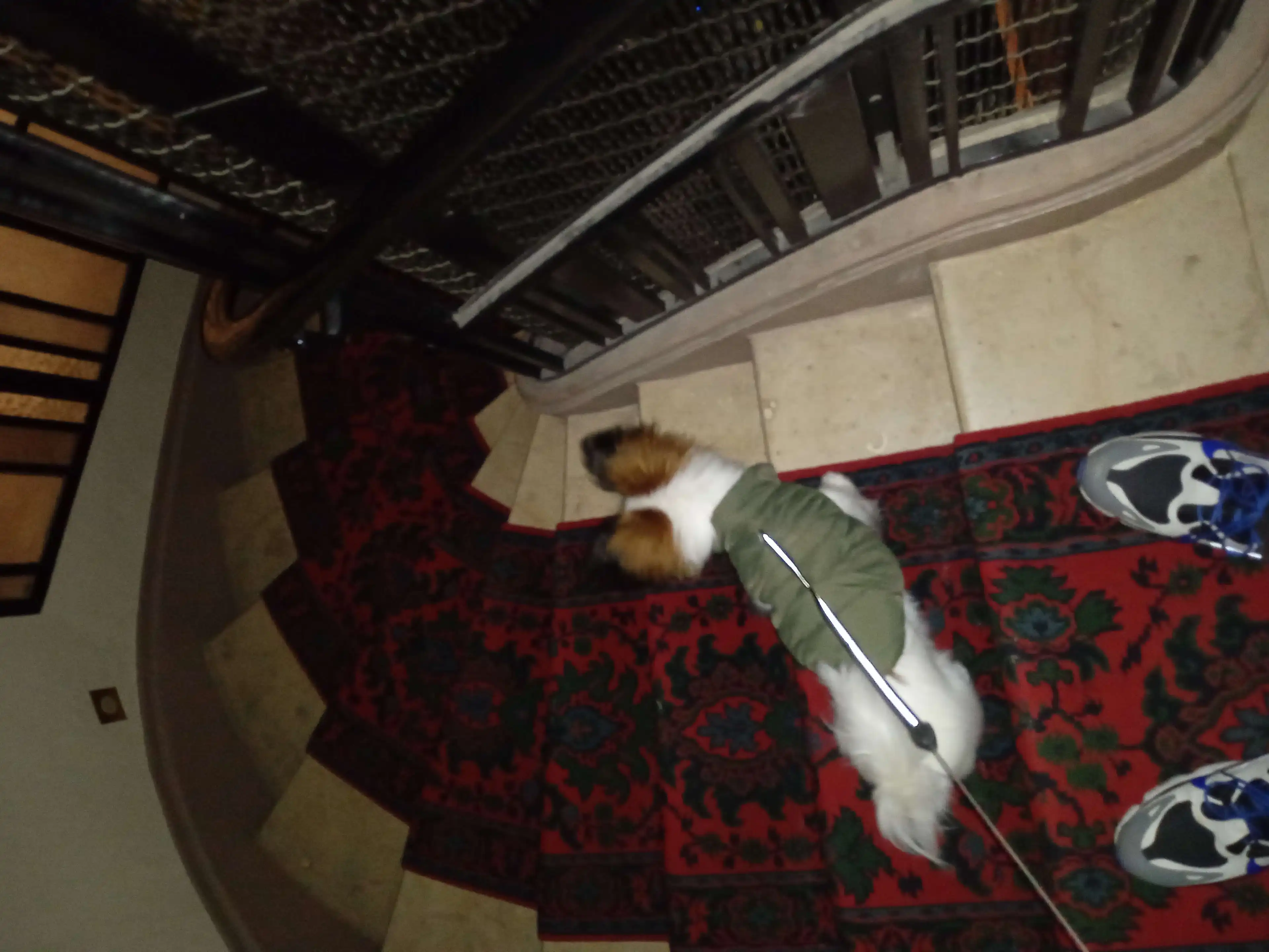 image-7