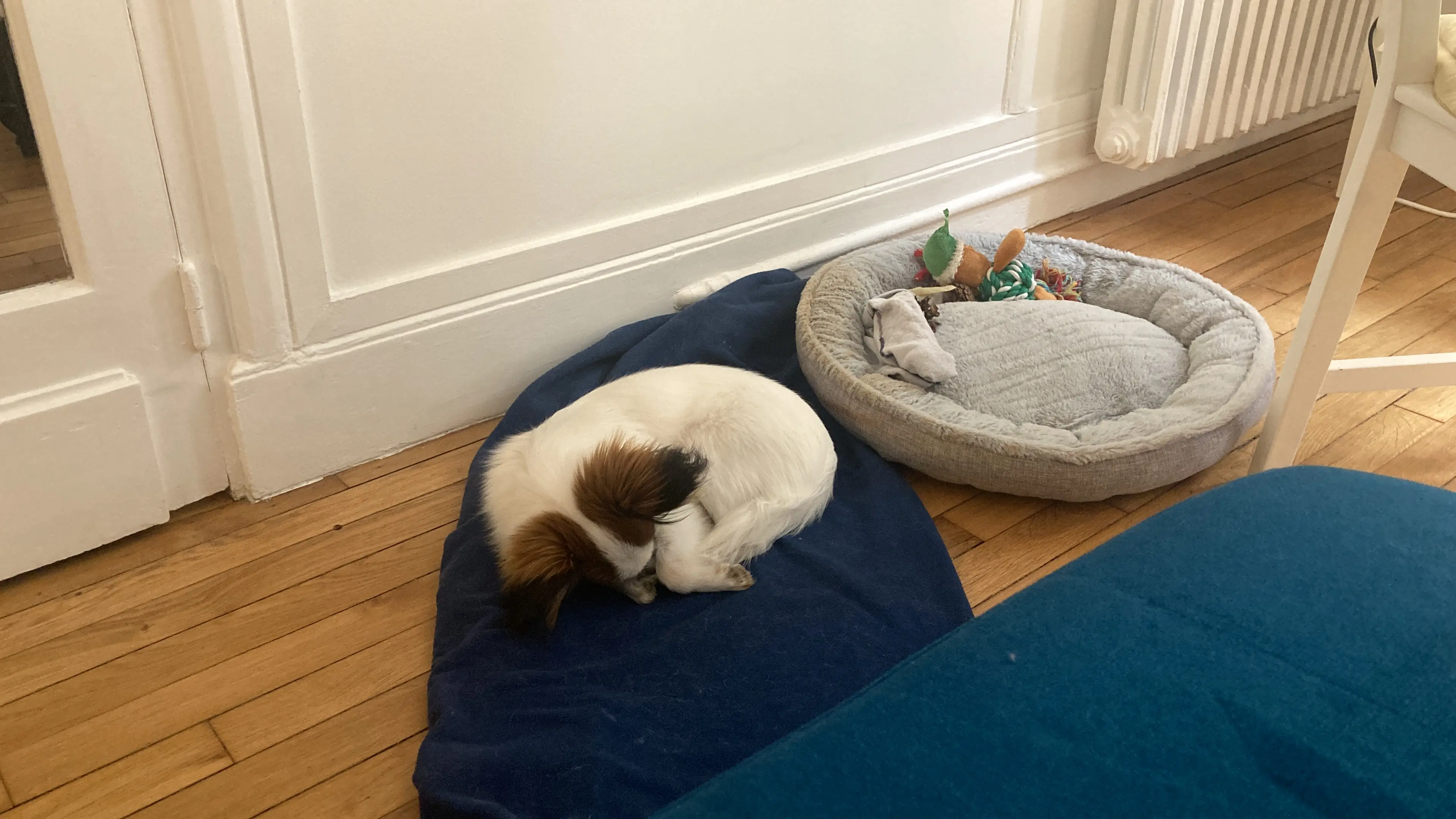 image-3