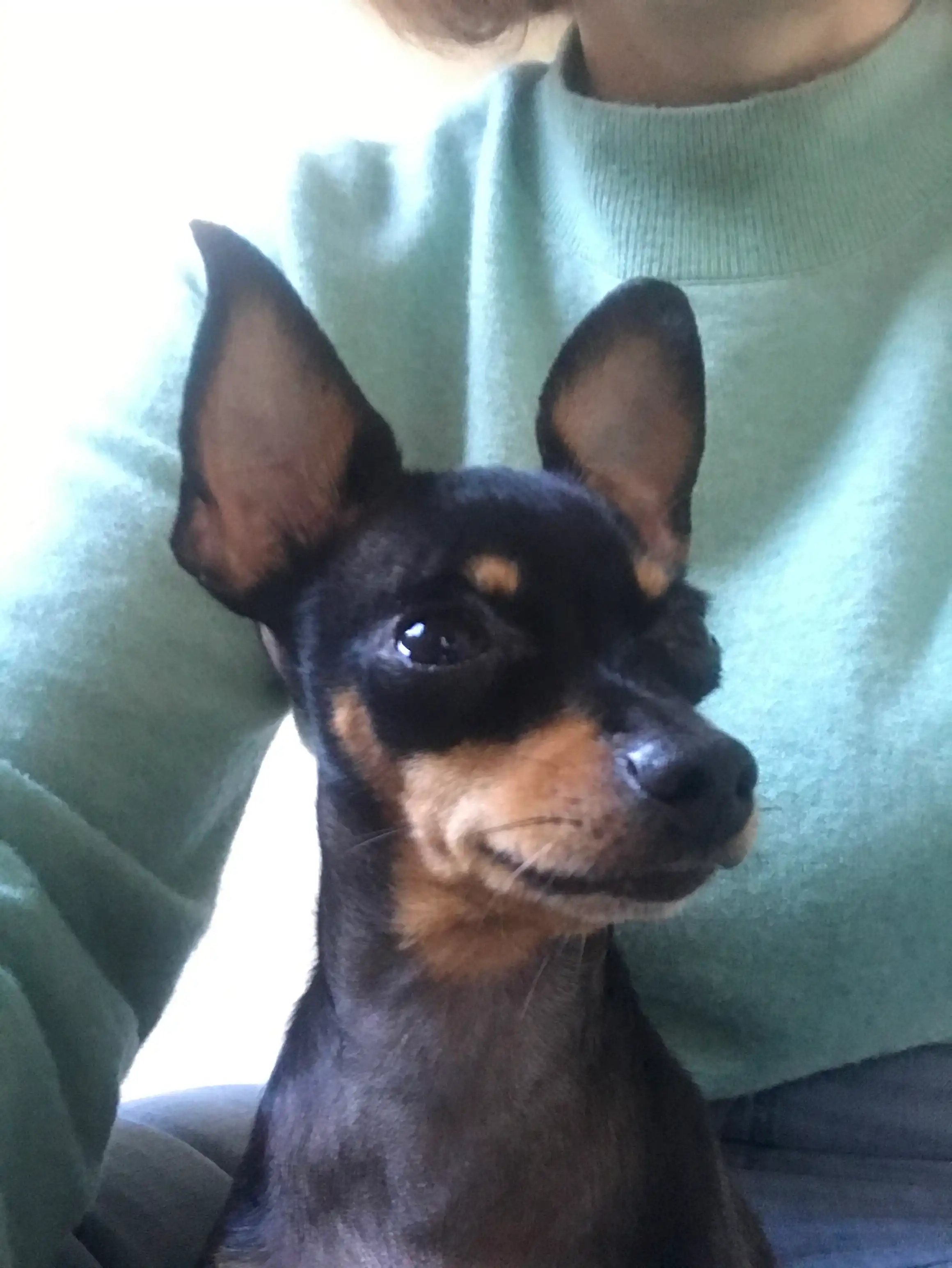 image-6