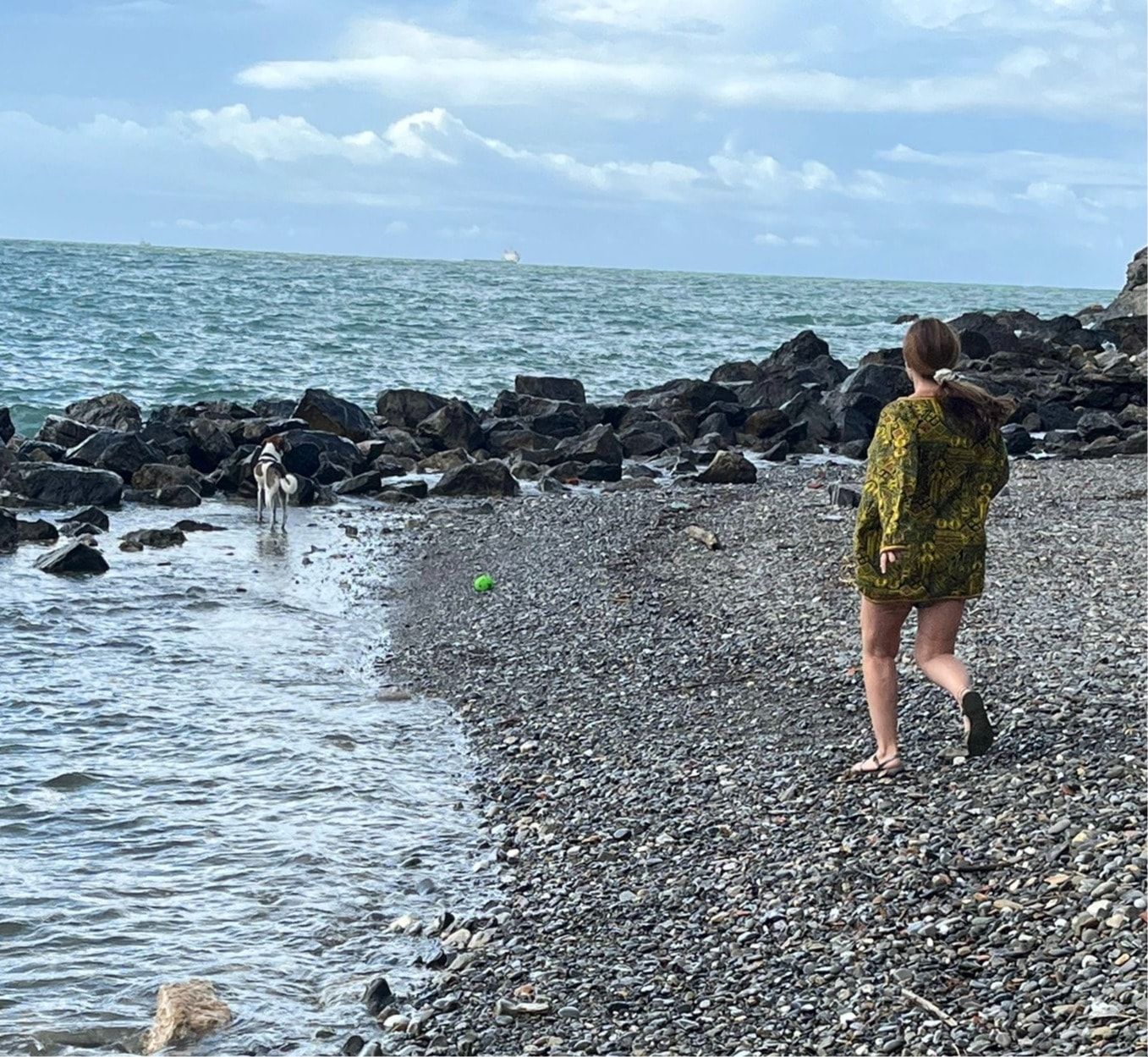image-7