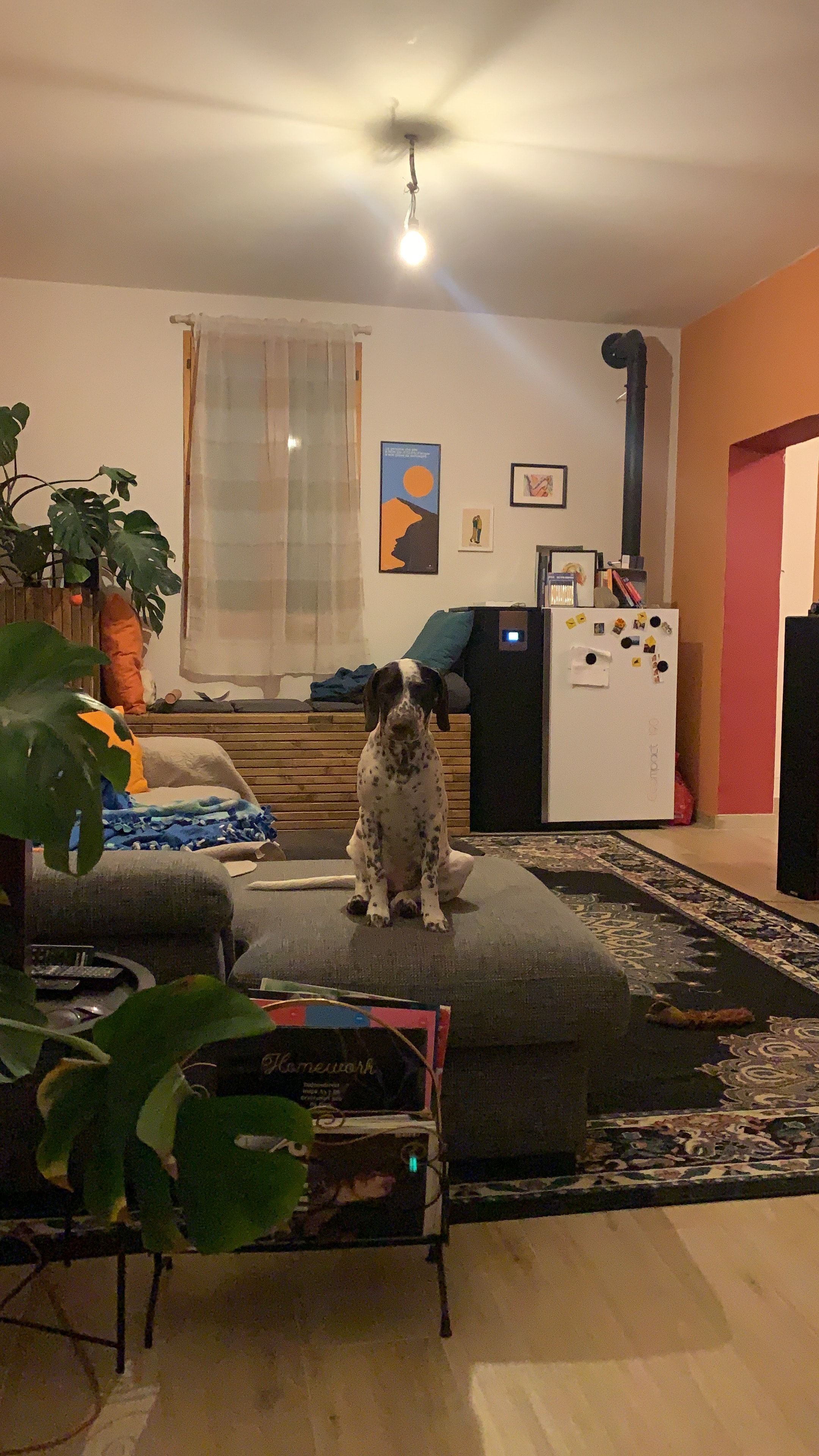 image-8