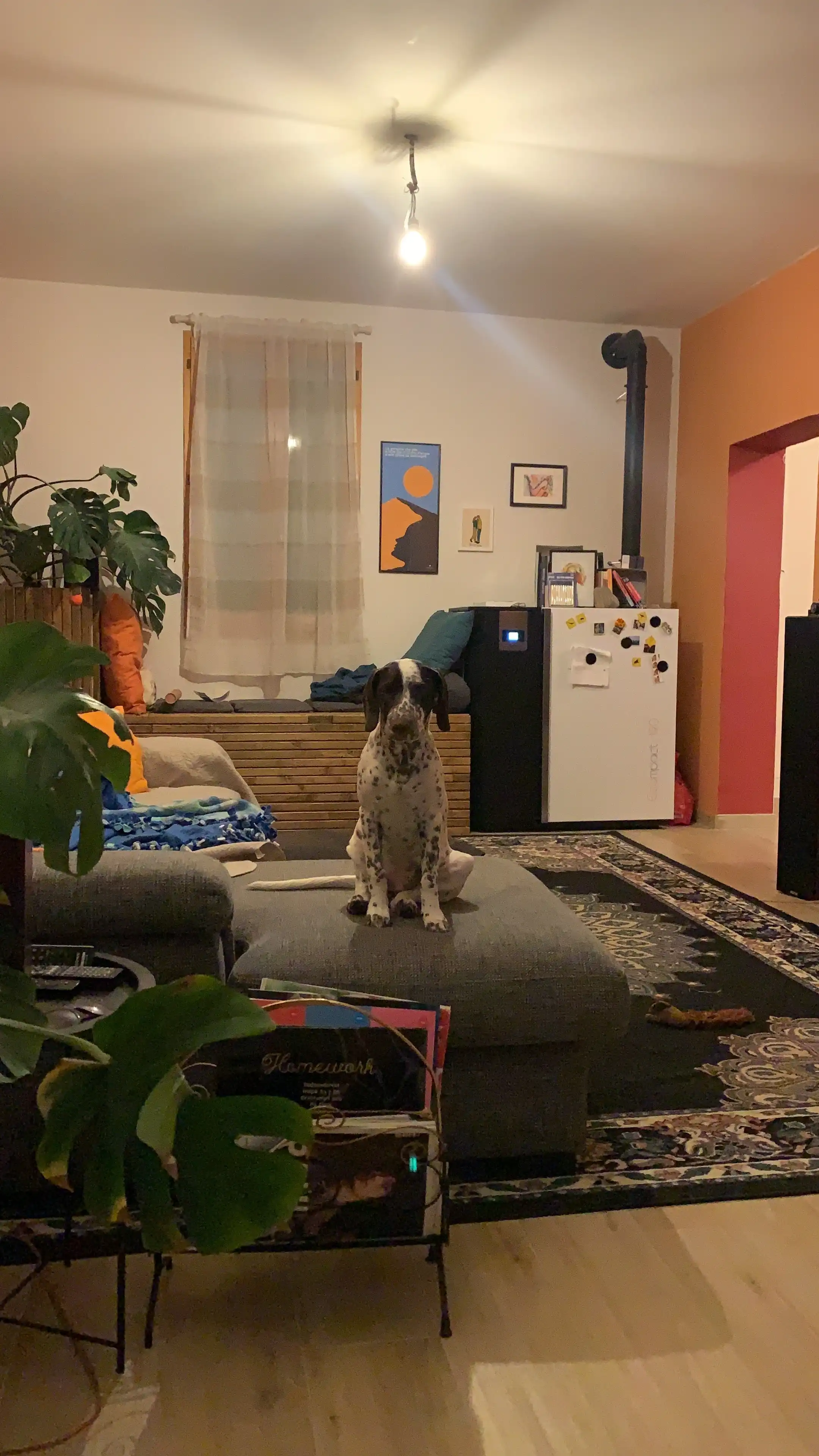 image-8