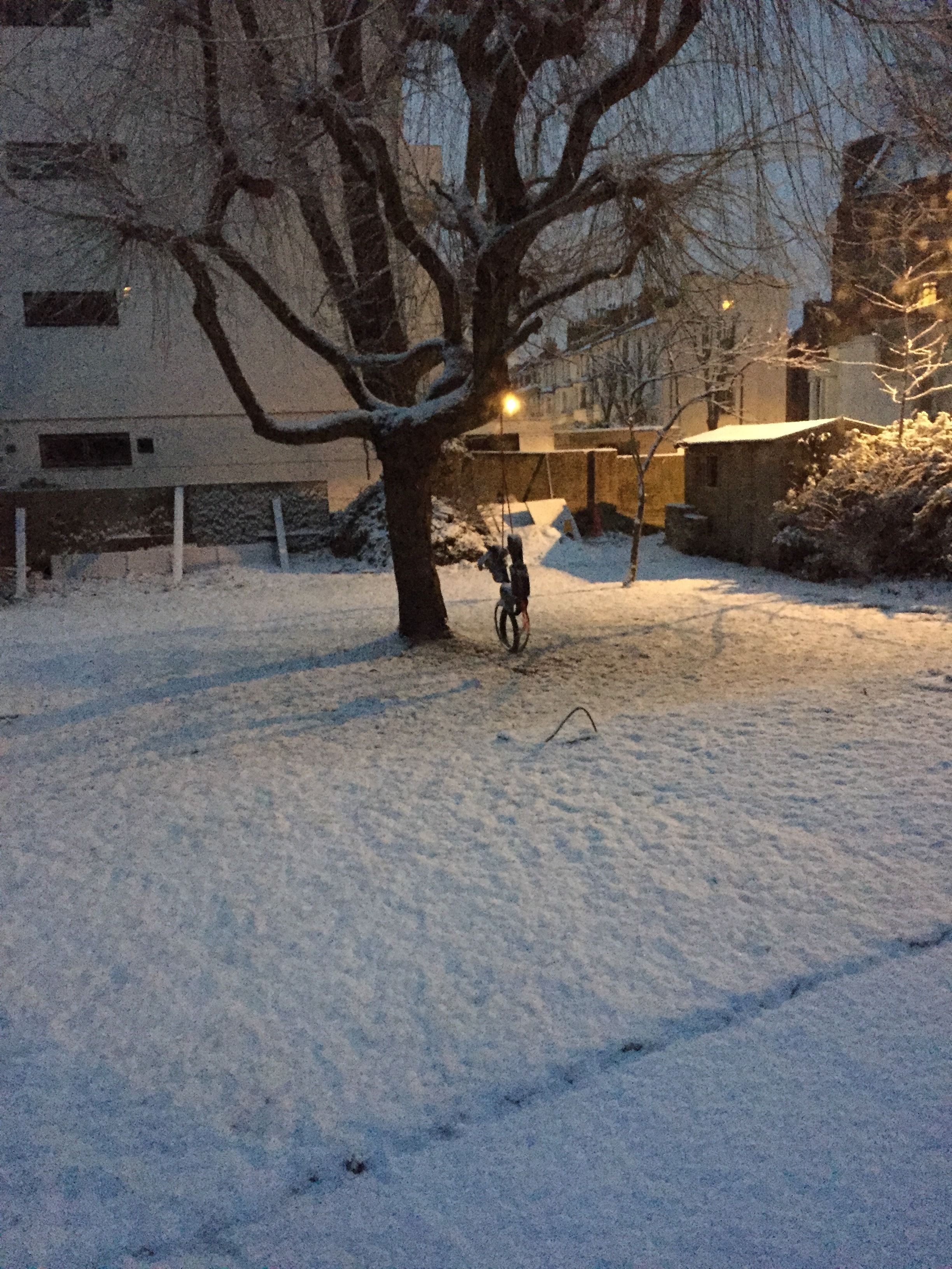 image-7