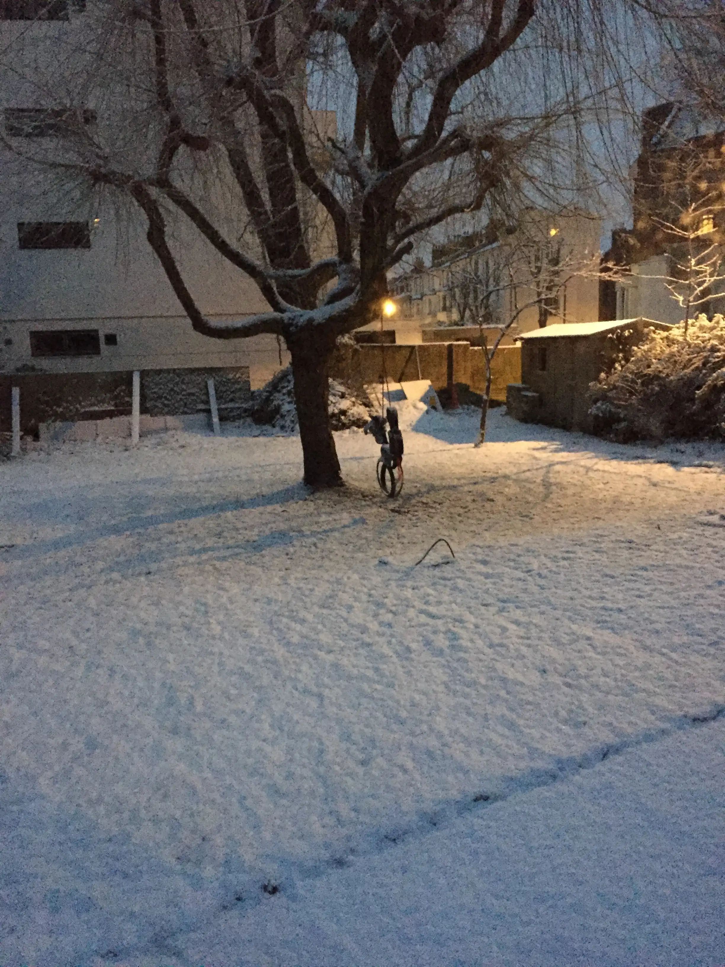 image-7
