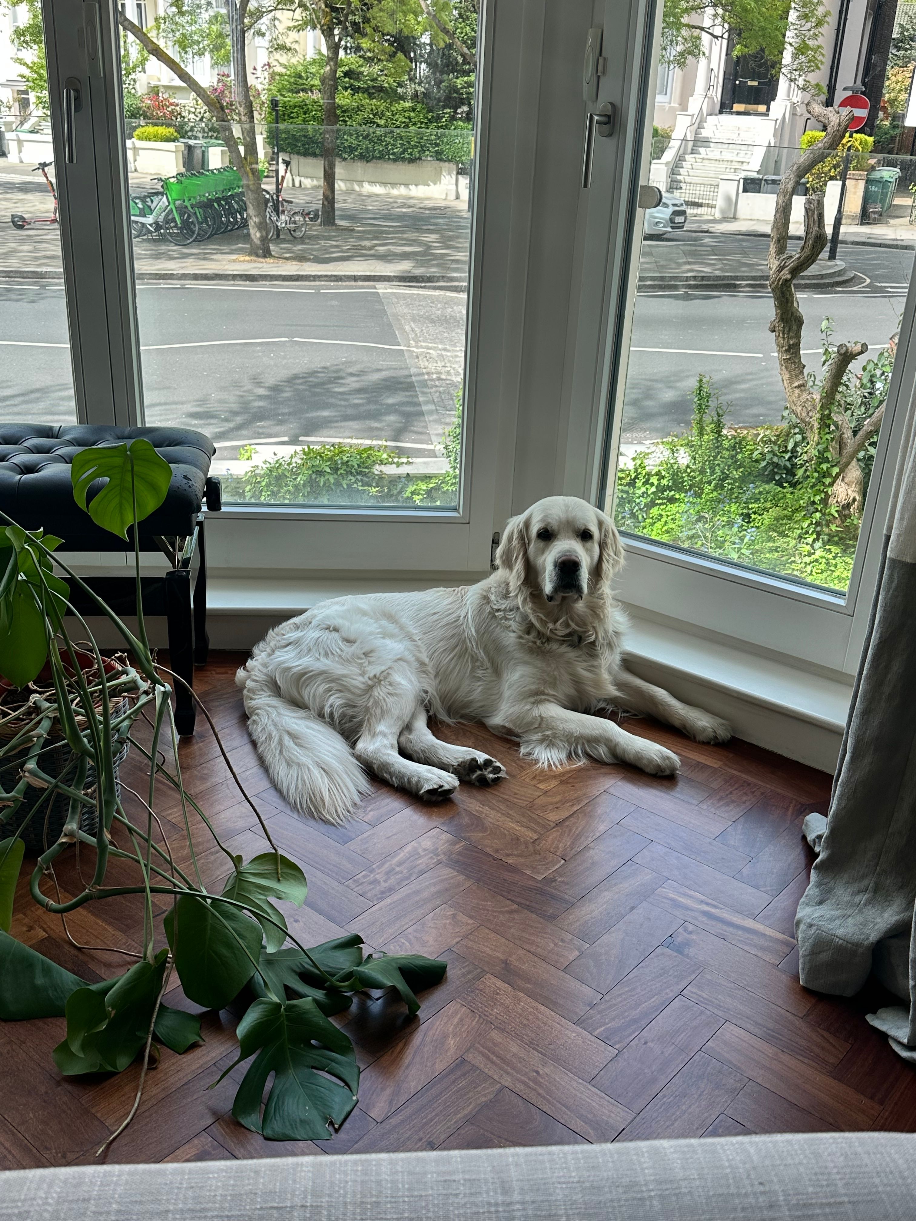 image-13