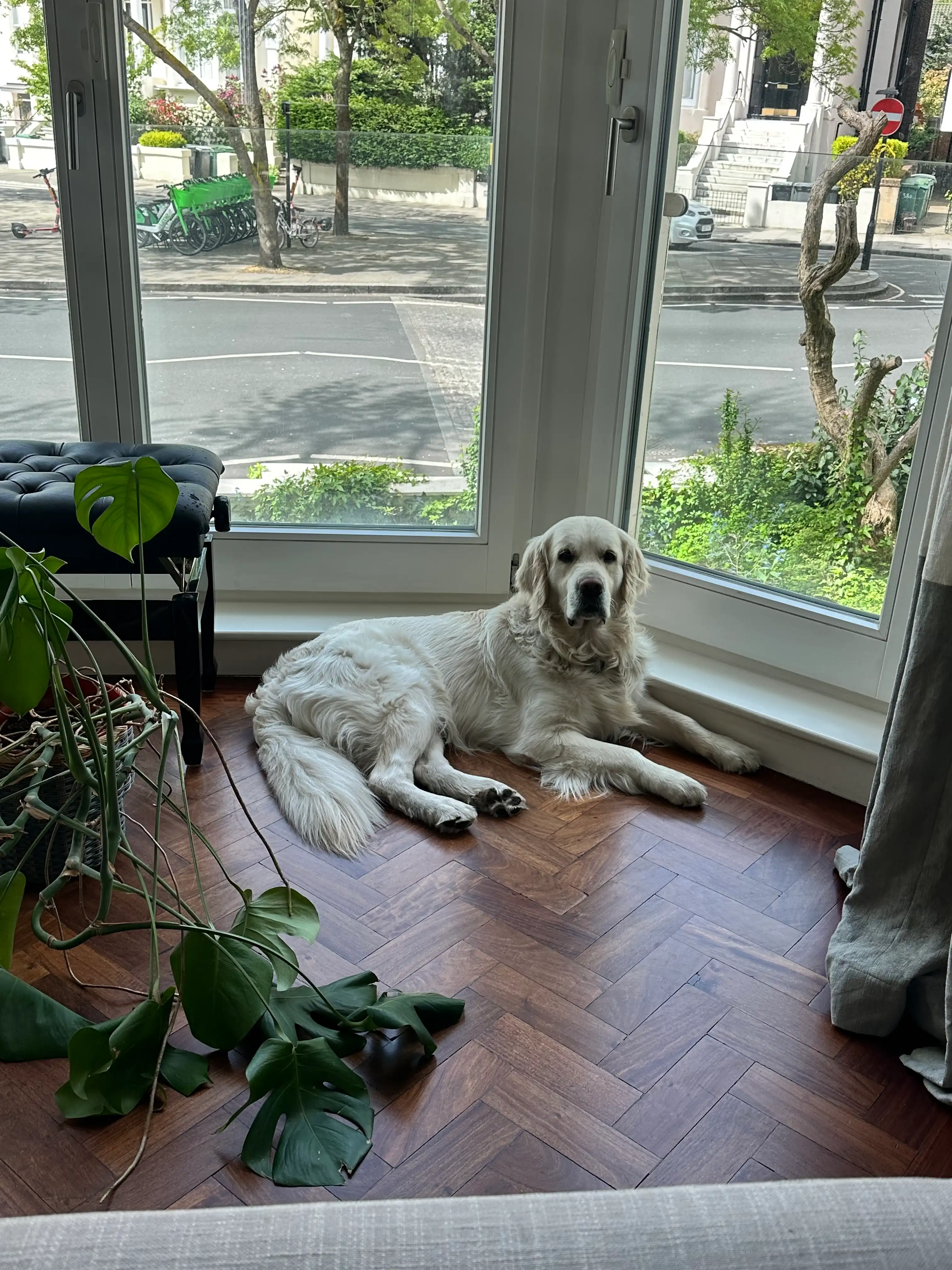 image-13