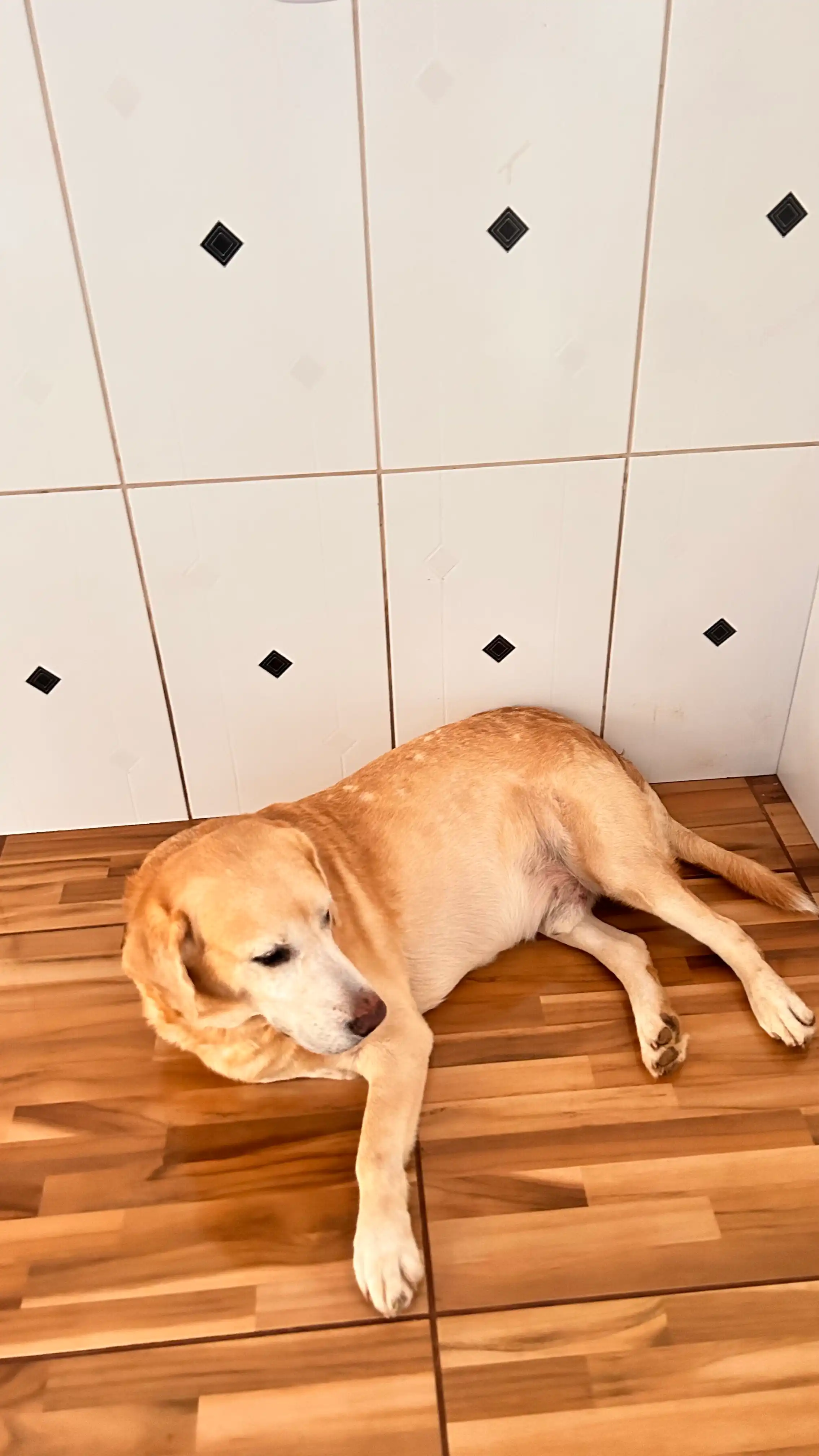image-14