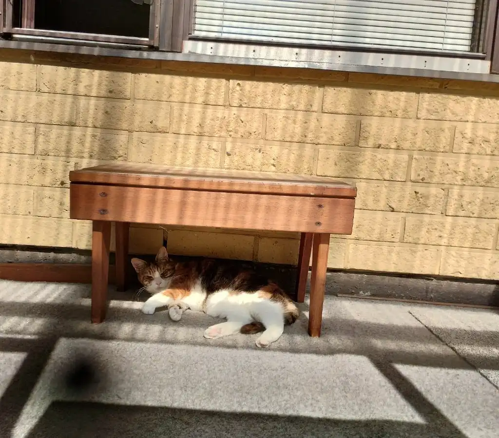 image-15