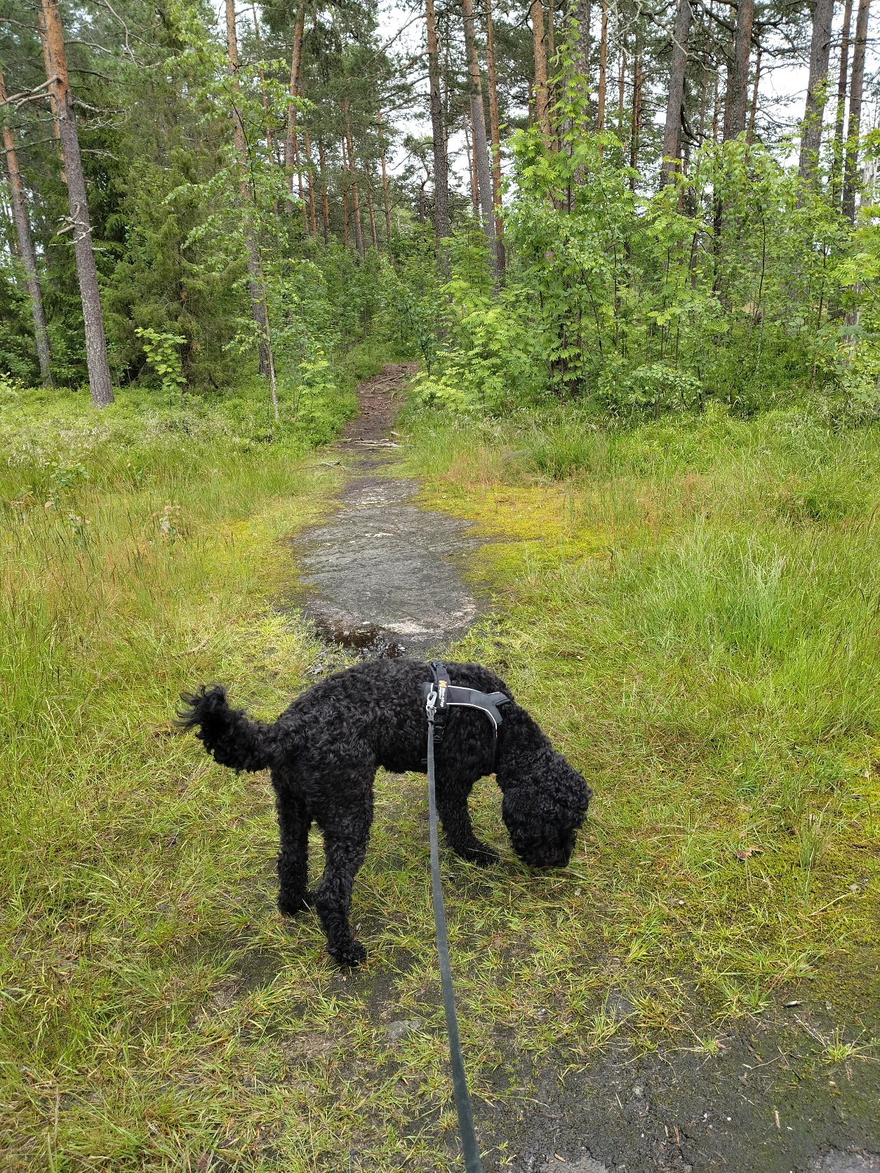 image-16