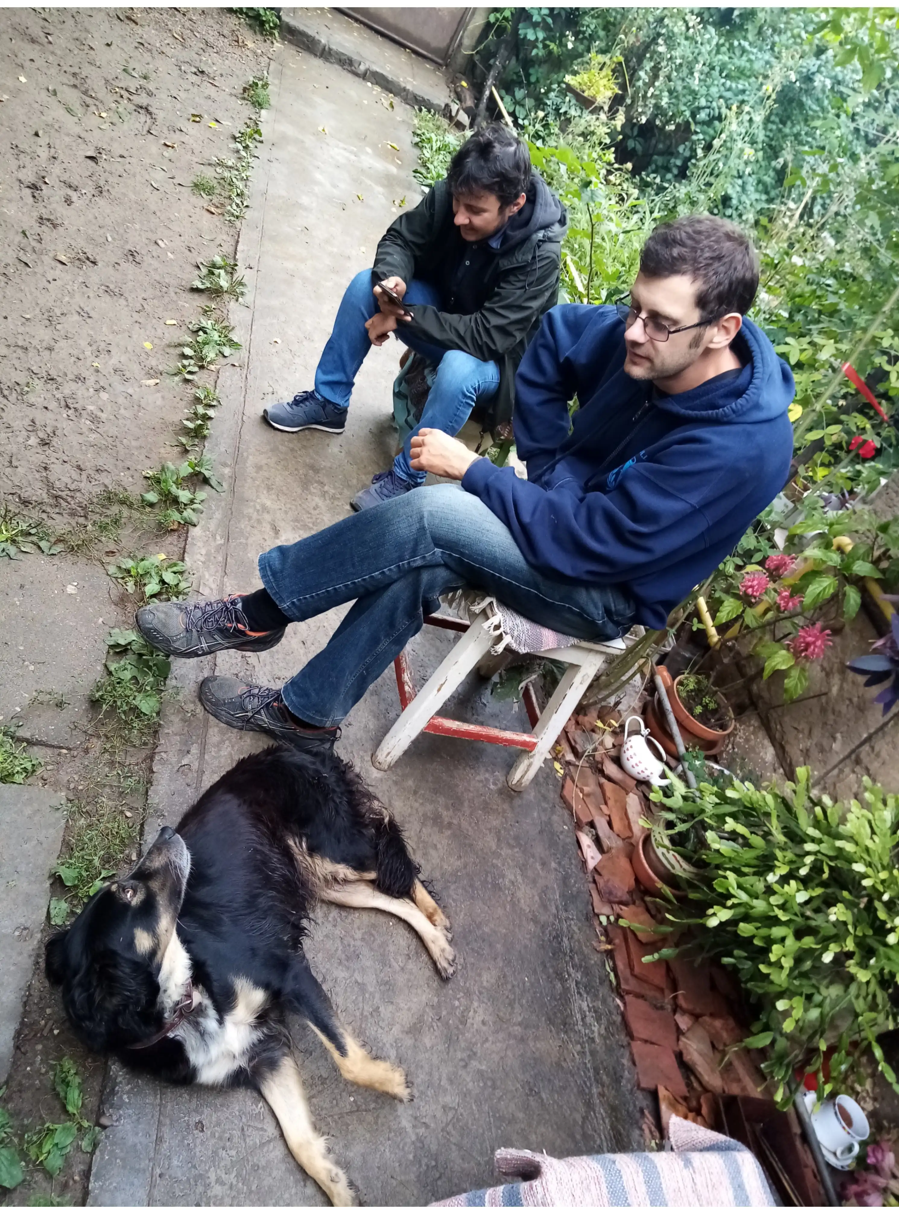 image-5