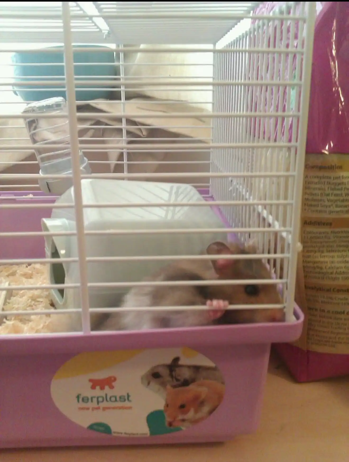 image-8