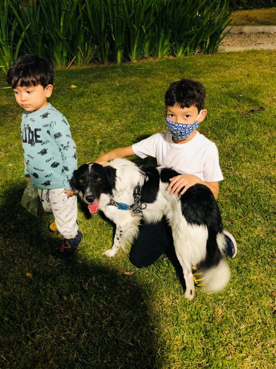 image-8