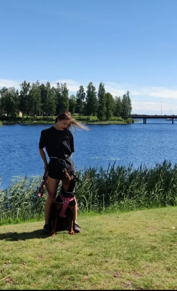 image-1