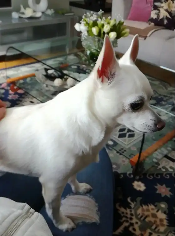 image-8