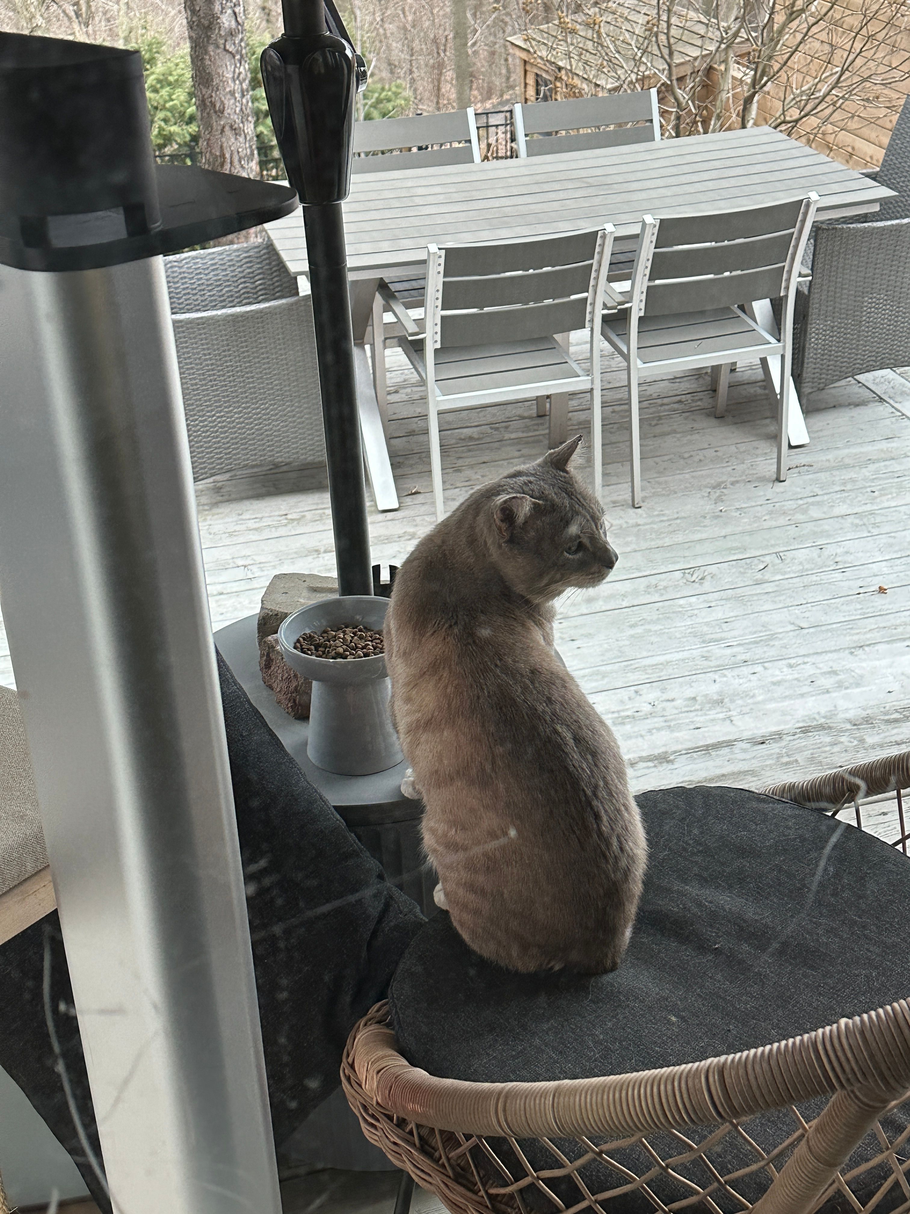 image-28