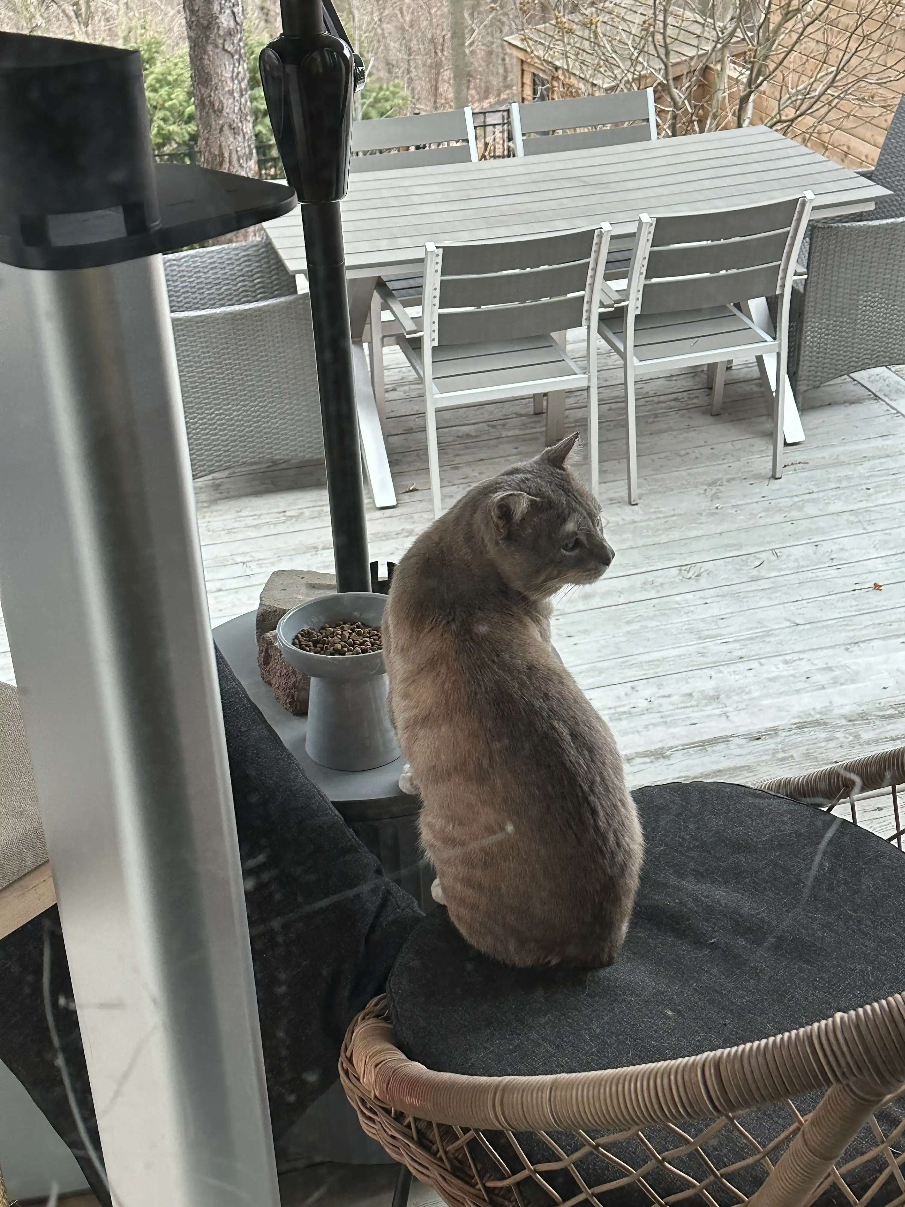 image-28
