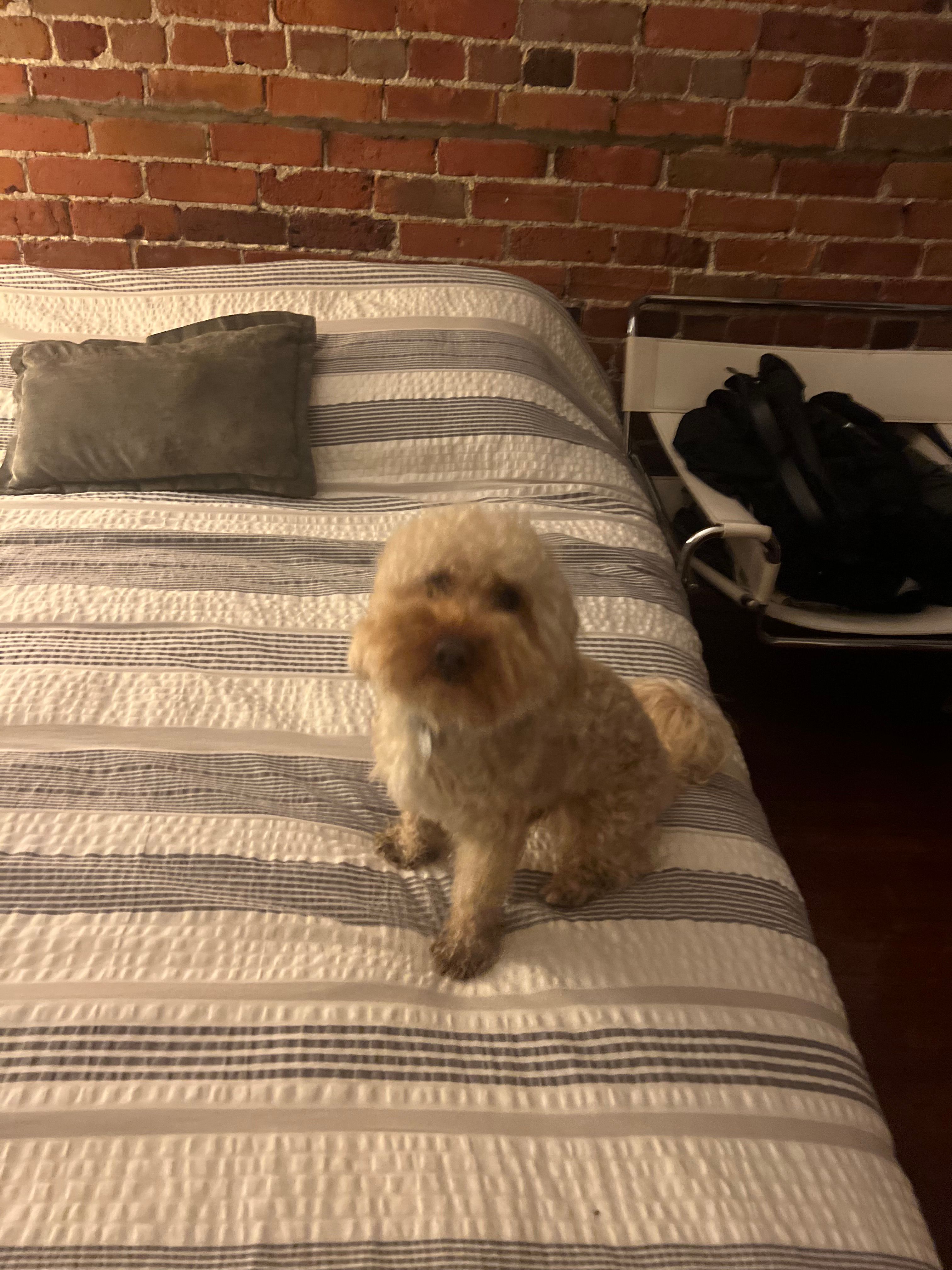 image-9